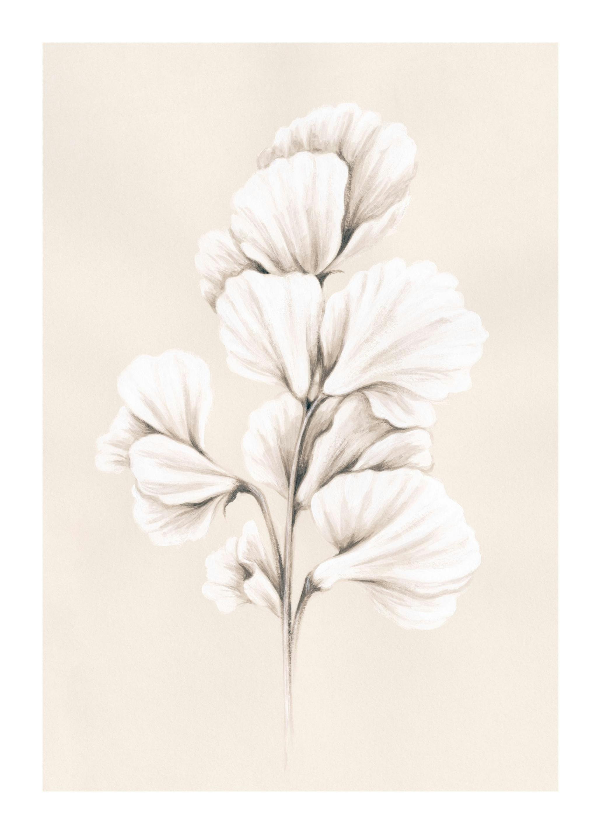 Painted Sweet Pea Affiche (30x40 cm)  Art