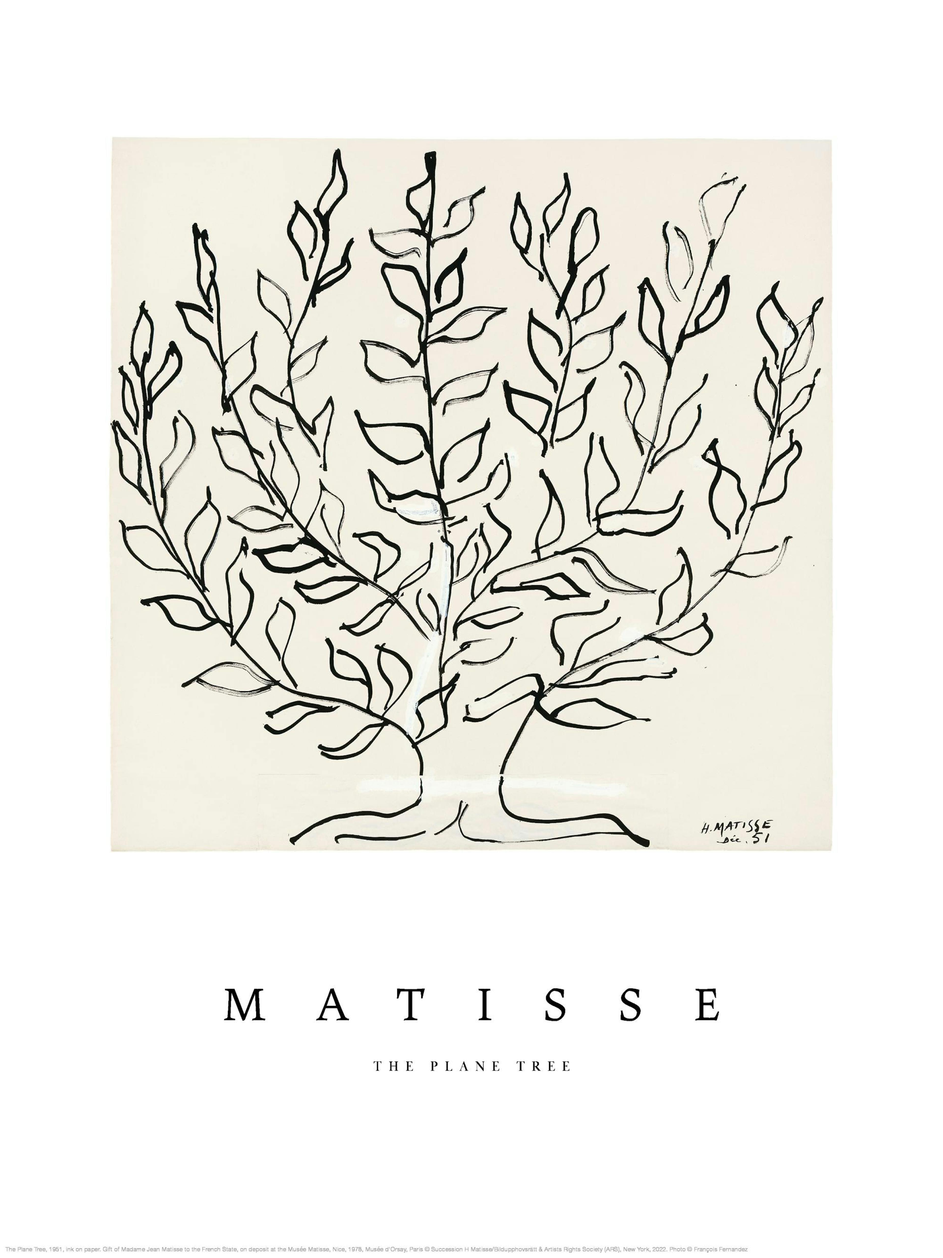 Matisse - The Plane Tree Poster