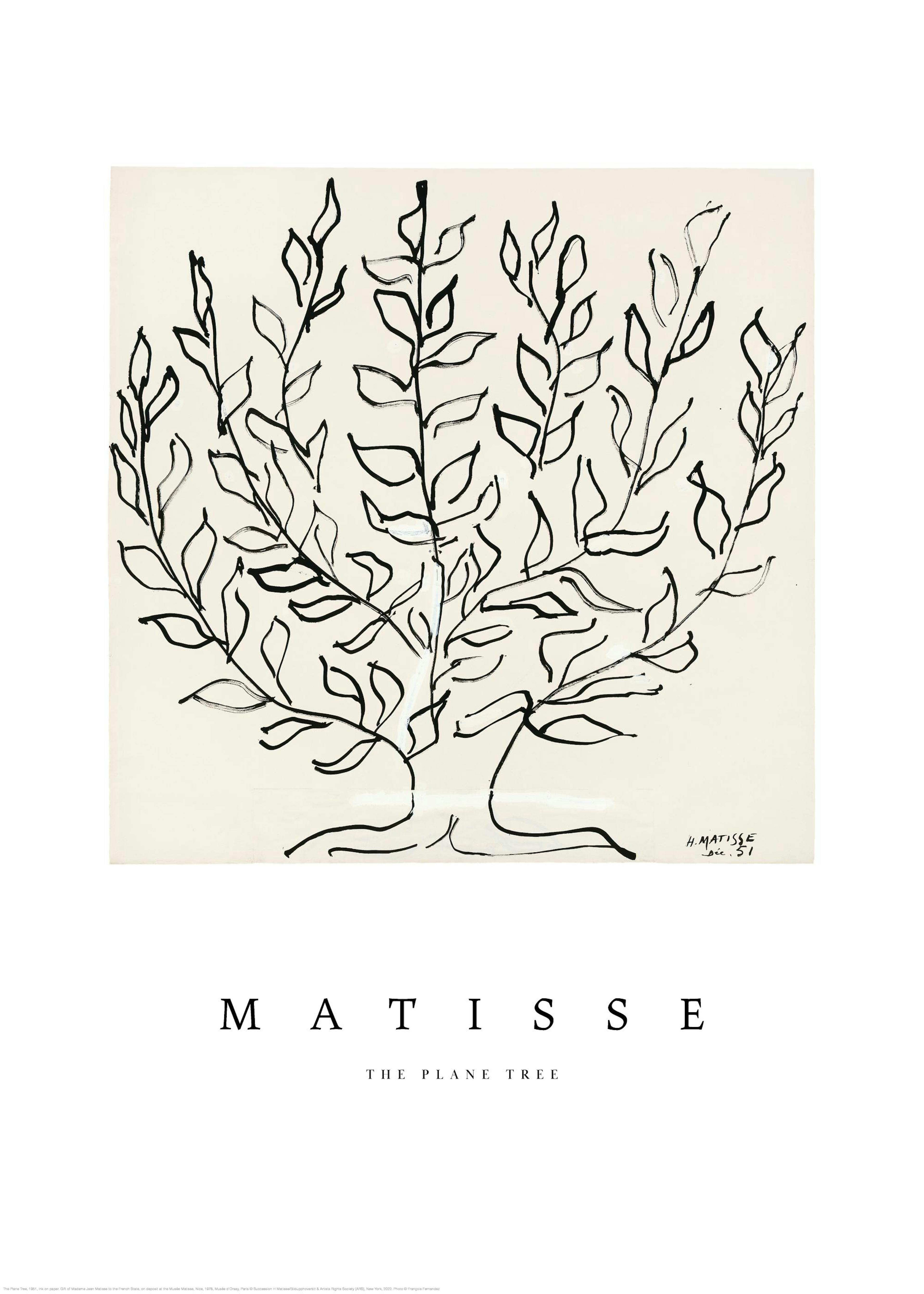 Matisse - The Plane Tree Print 0