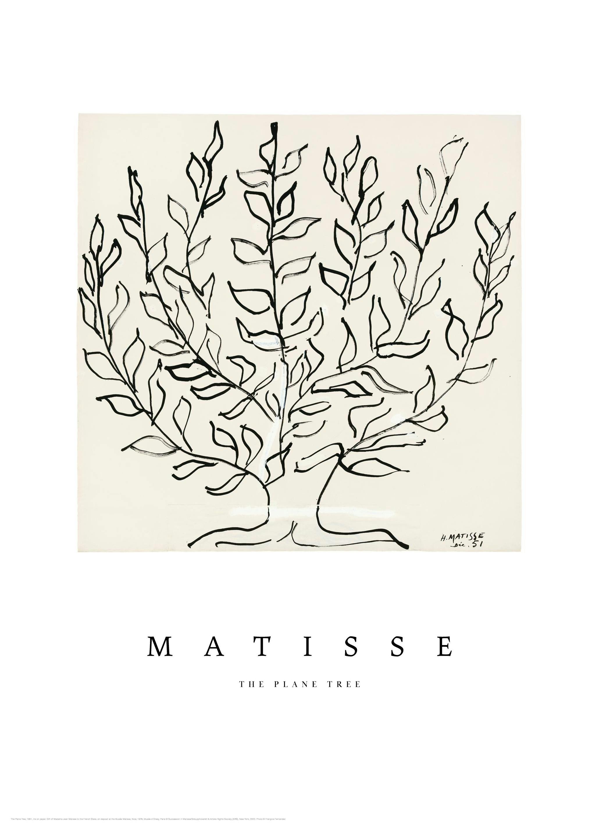 Matisse - The Plane Tree Poster (30x40 cm) - Matisse posters