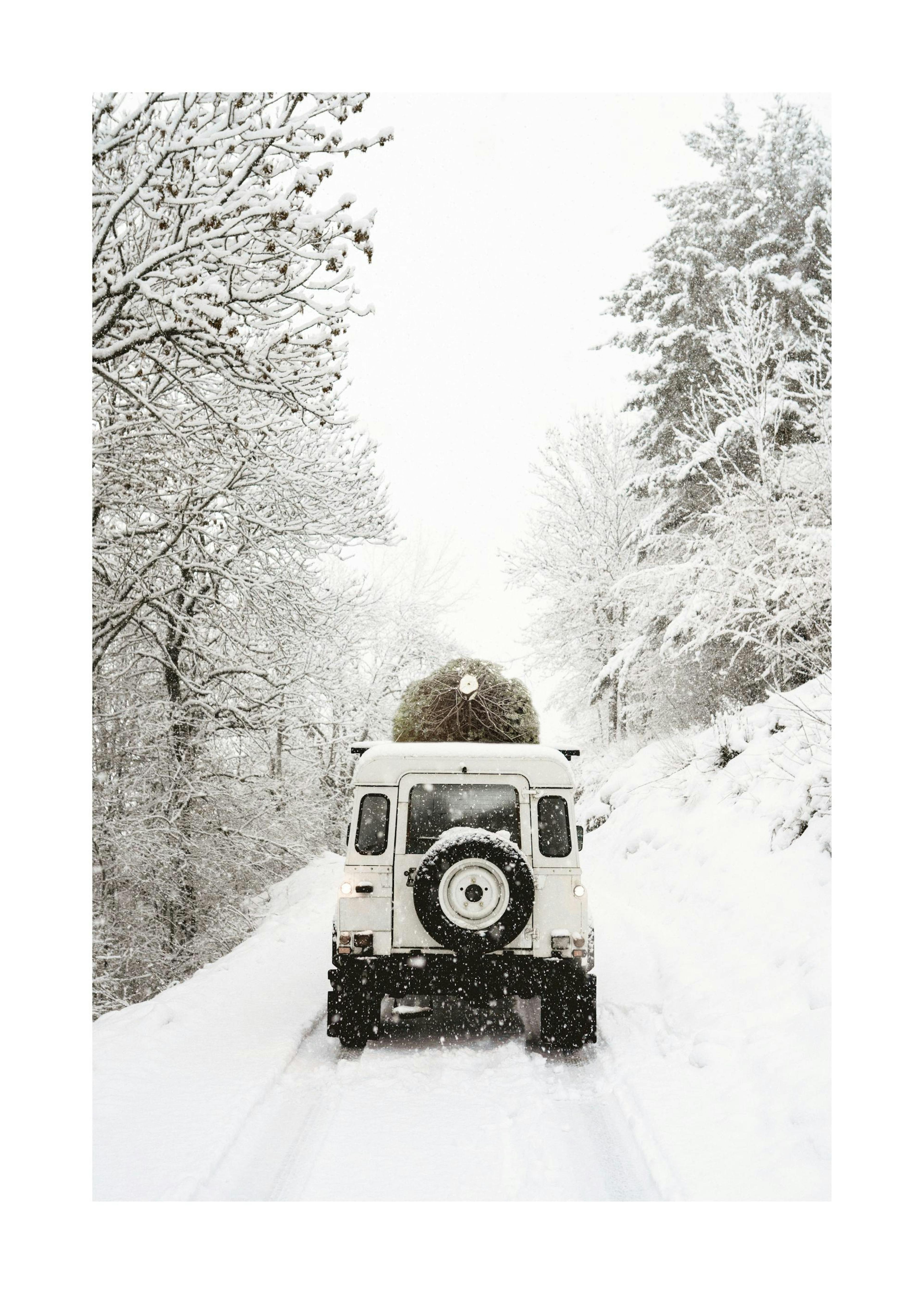 Holiday Delivery Poster 0