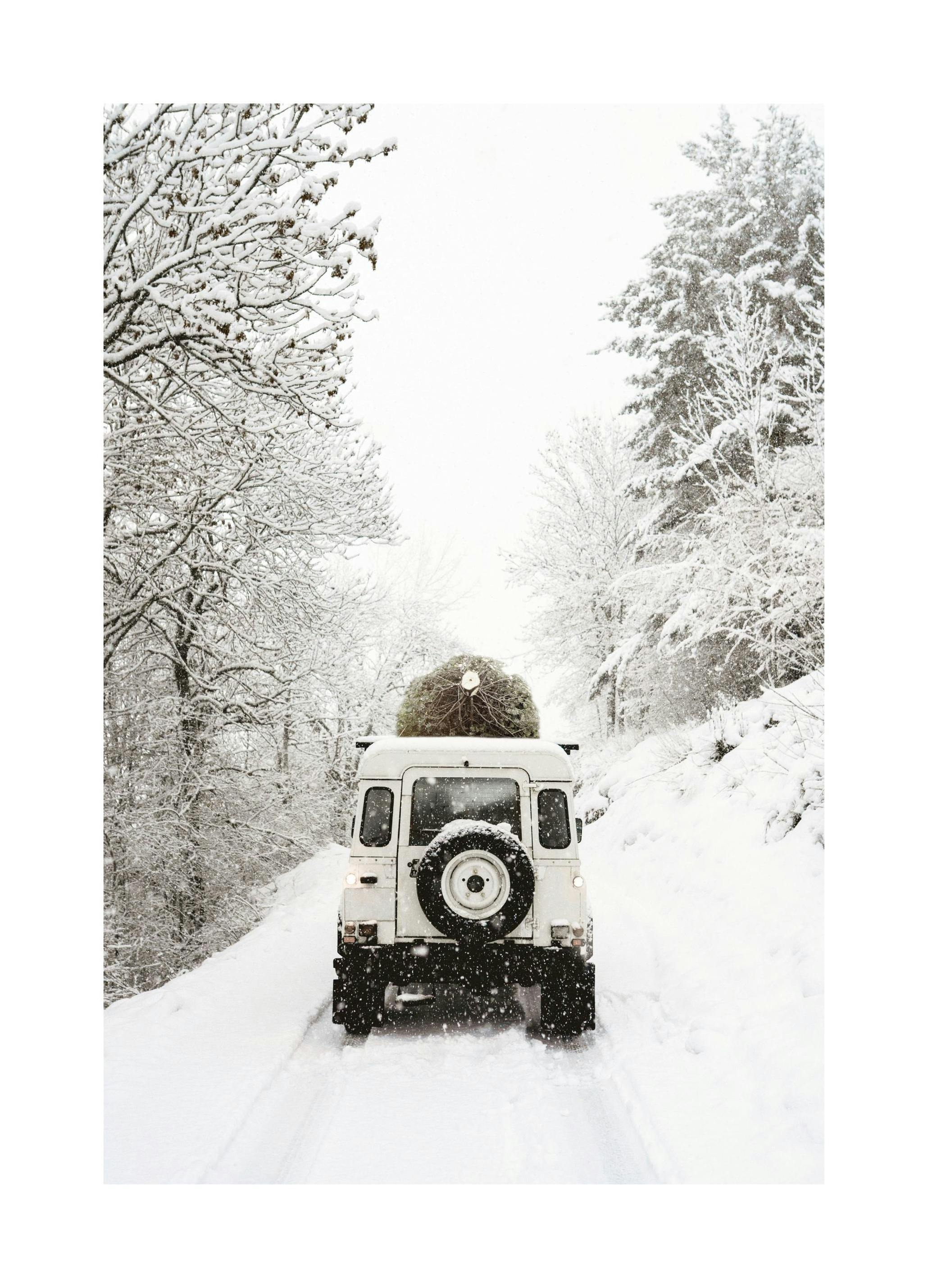 Holiday Delivery Plakat (30x40 cm)- Plakaty świąteczne