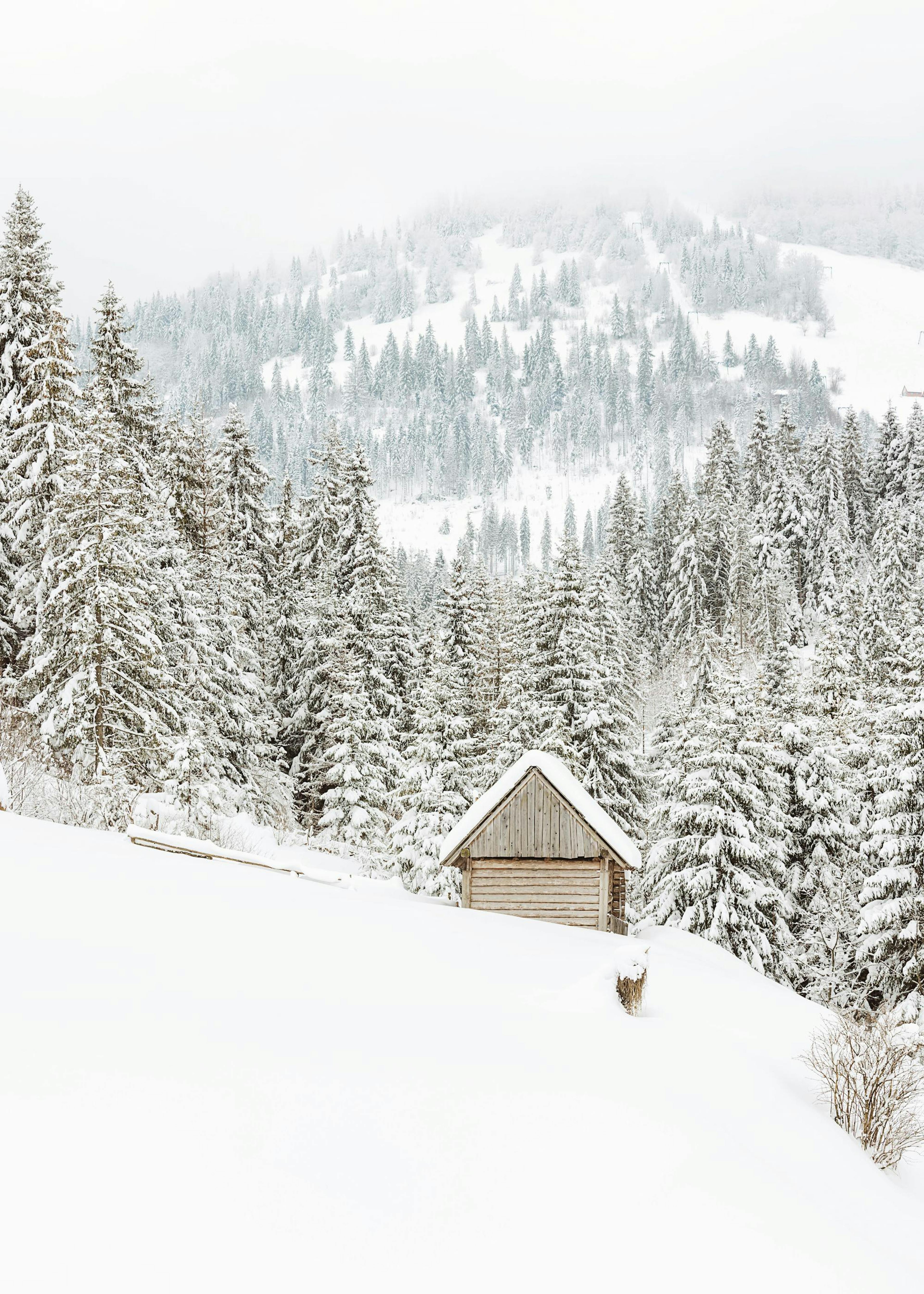 Mountain Cabin Affiche 0