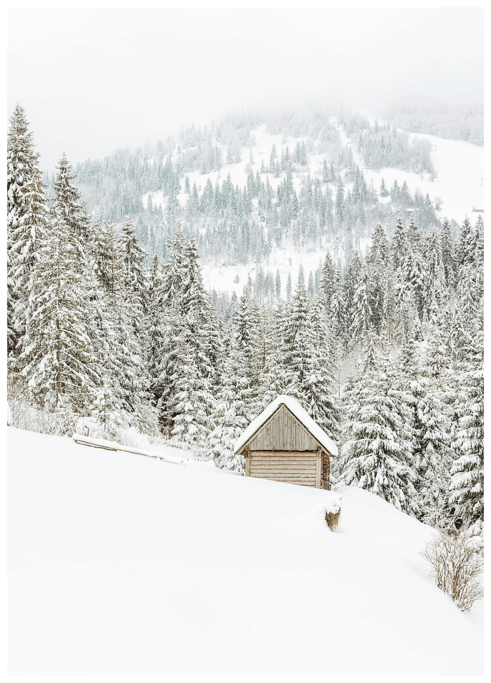 Mountain Cabin Poster (40x50 cm) - Winterposters