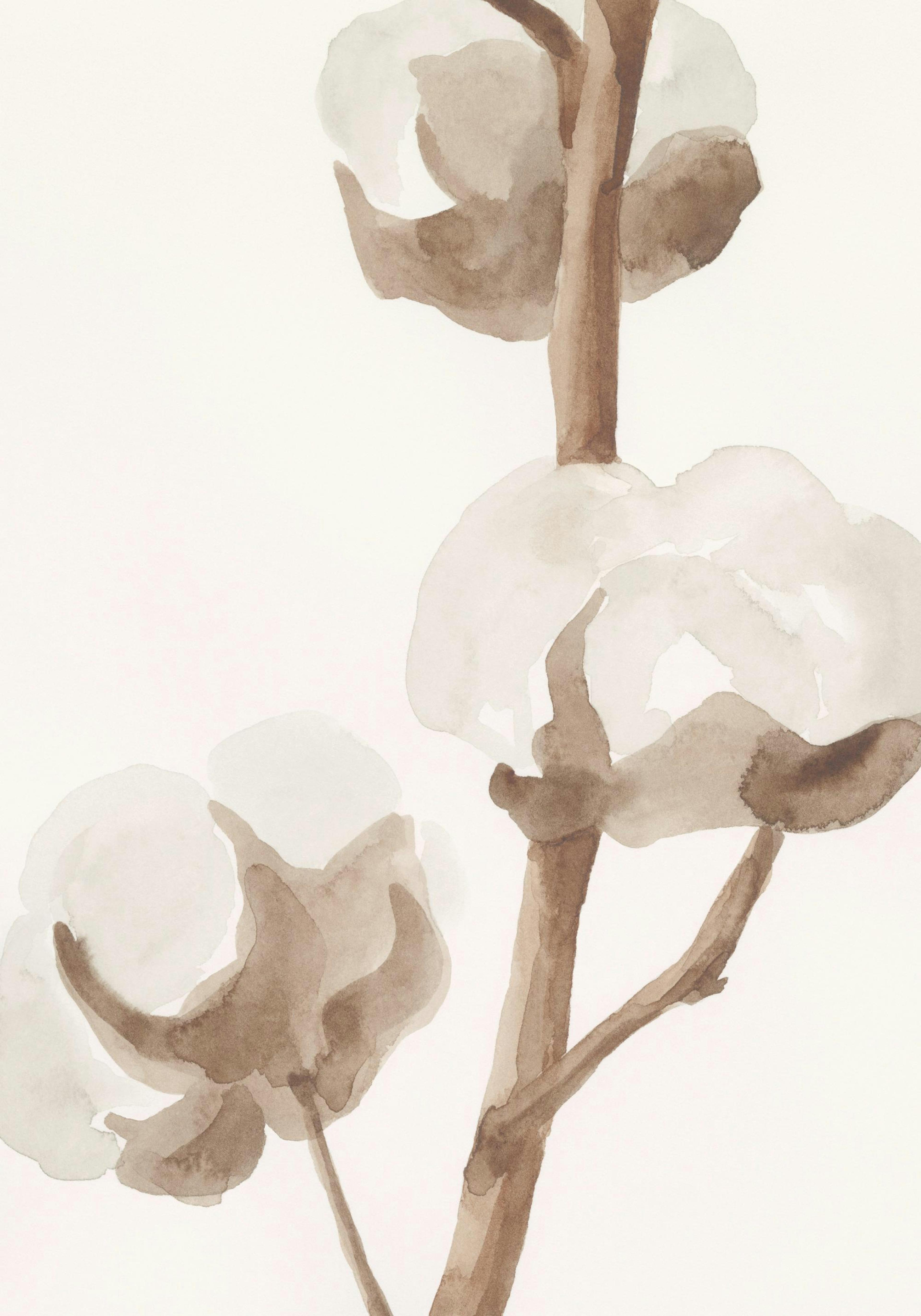 Aquarelle Cotton Flowers Print