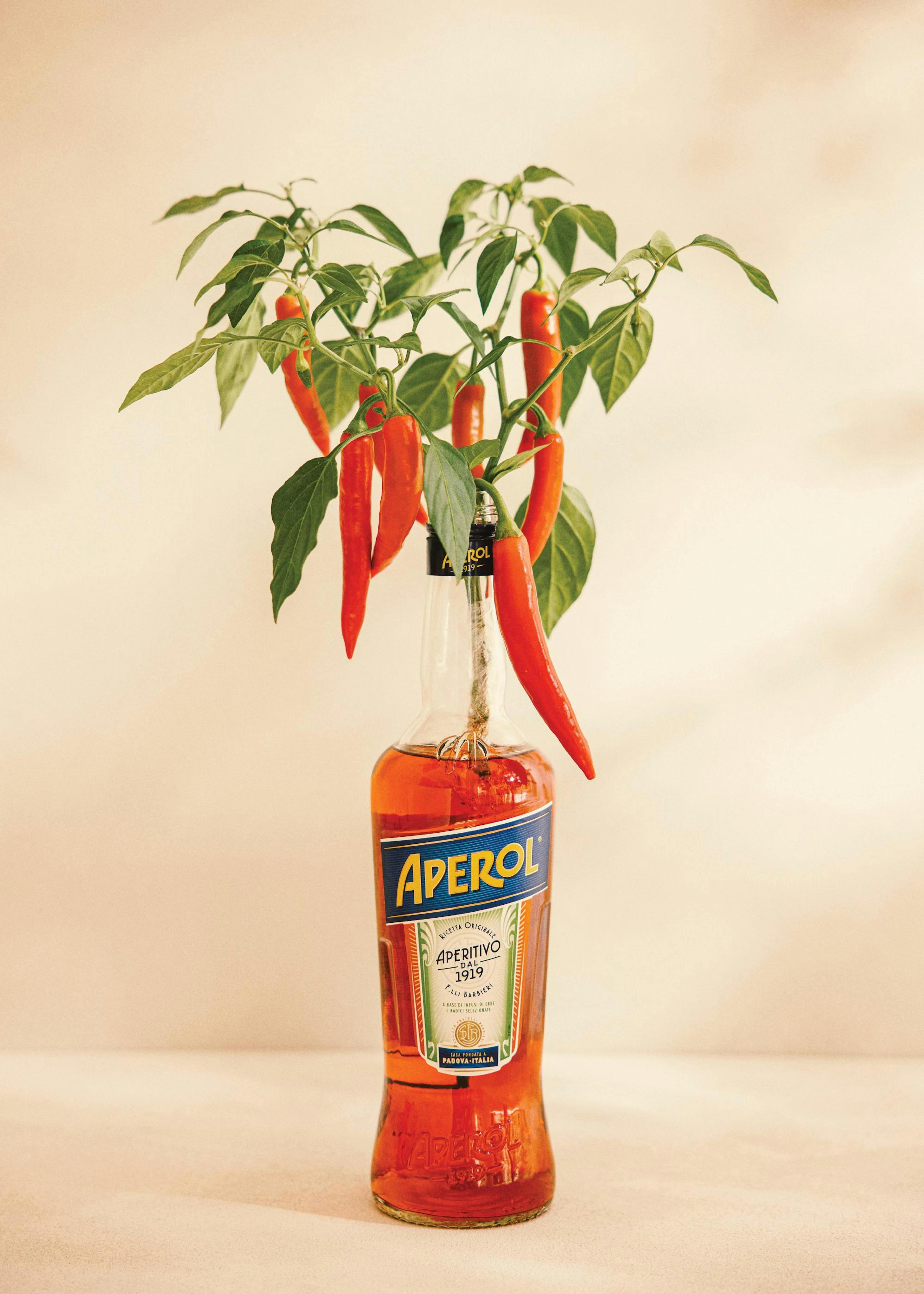 Aperol Chili Poster 0