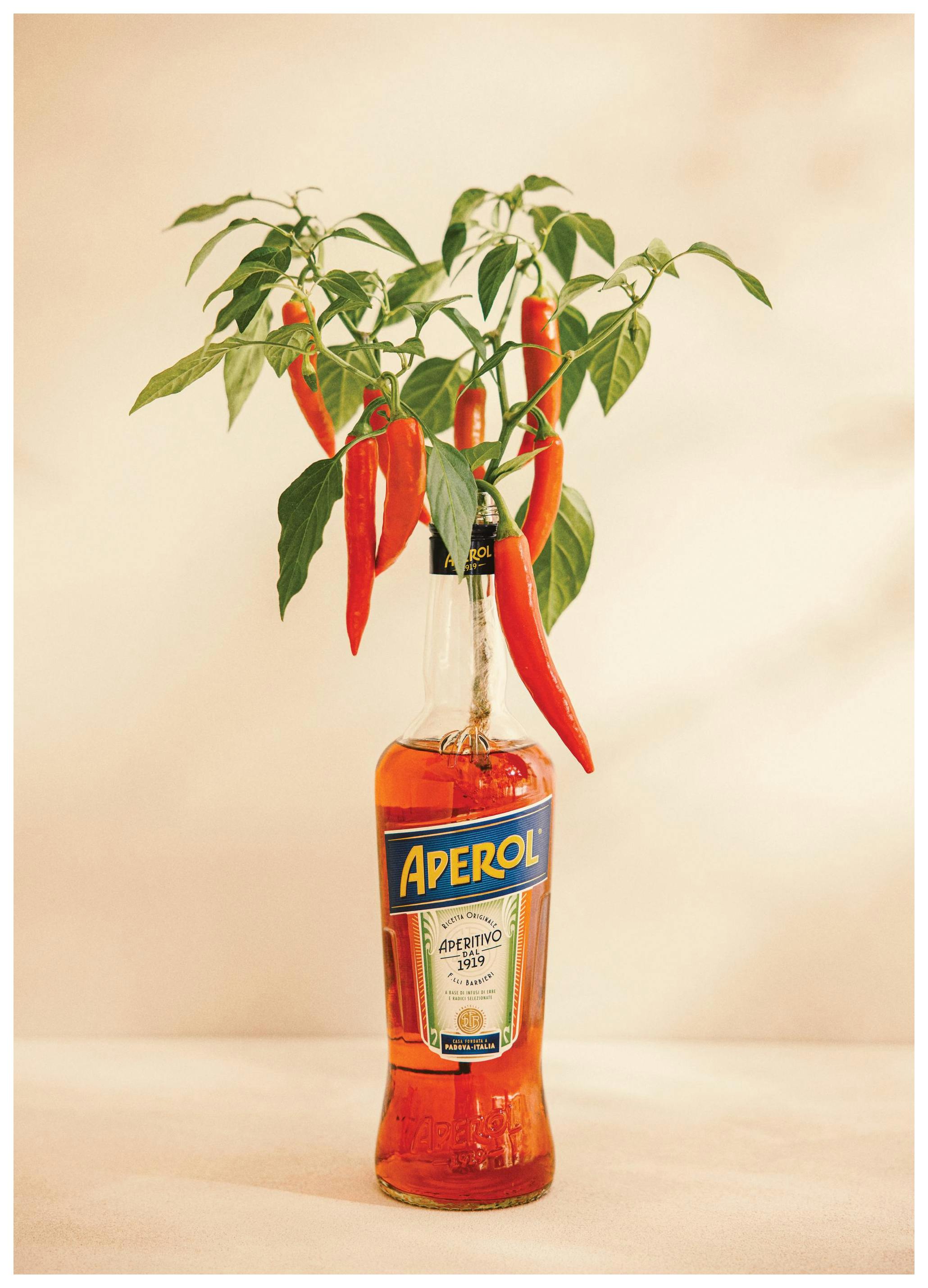 Aperol Chili Print (50x70 cm)- Wine & Cocktails posters