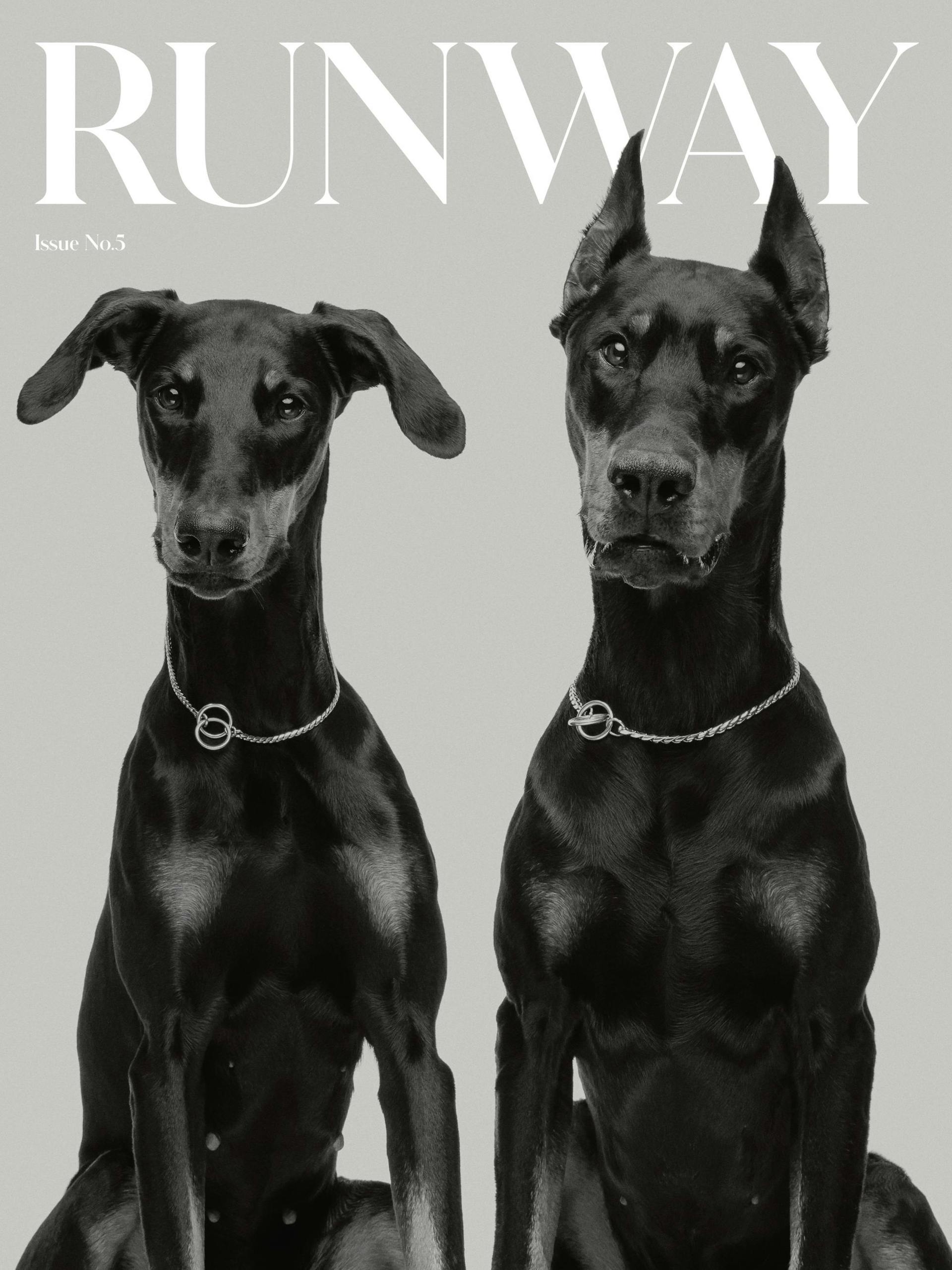Runway Dogs Poster
