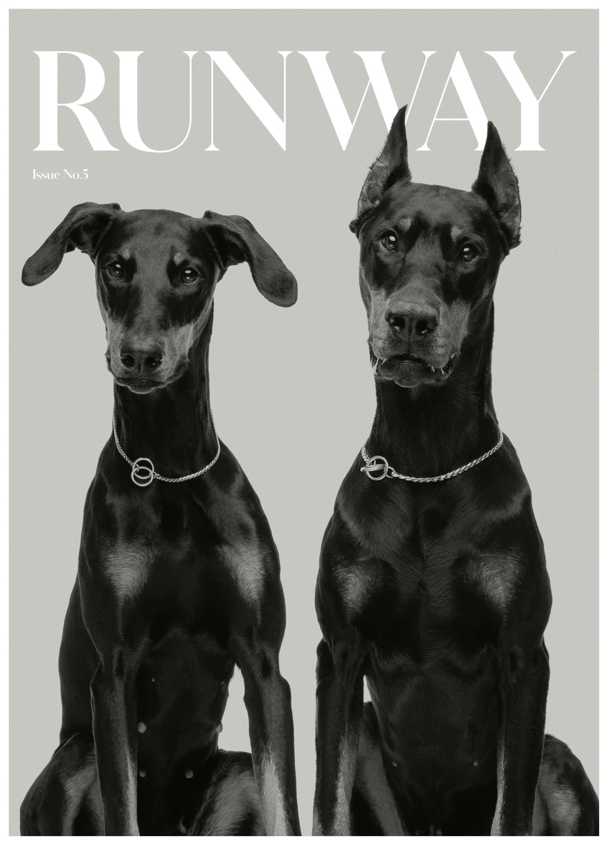 Runway Dogs Poster (30x40 cm)