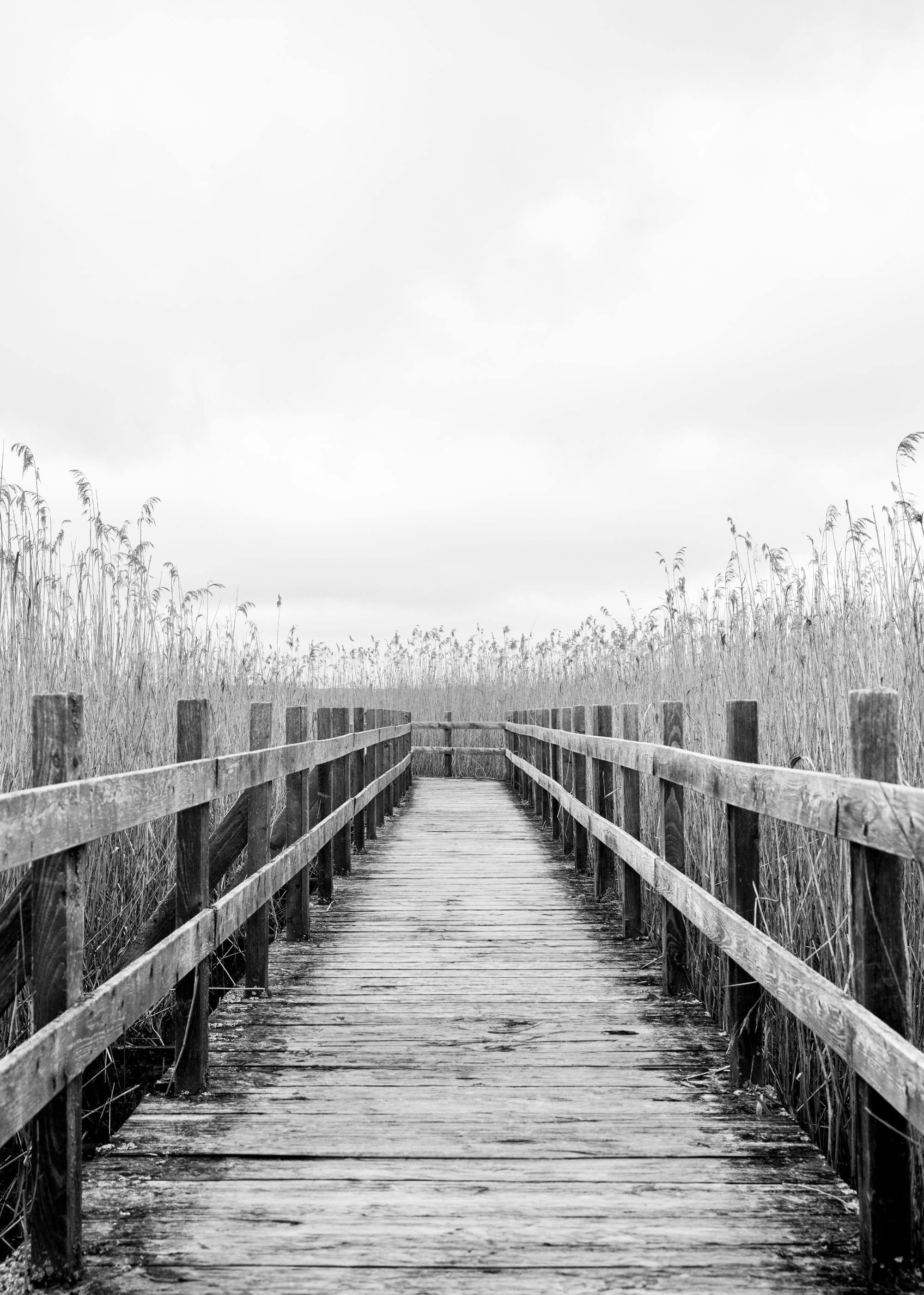 Monochrome Path Plakat 0