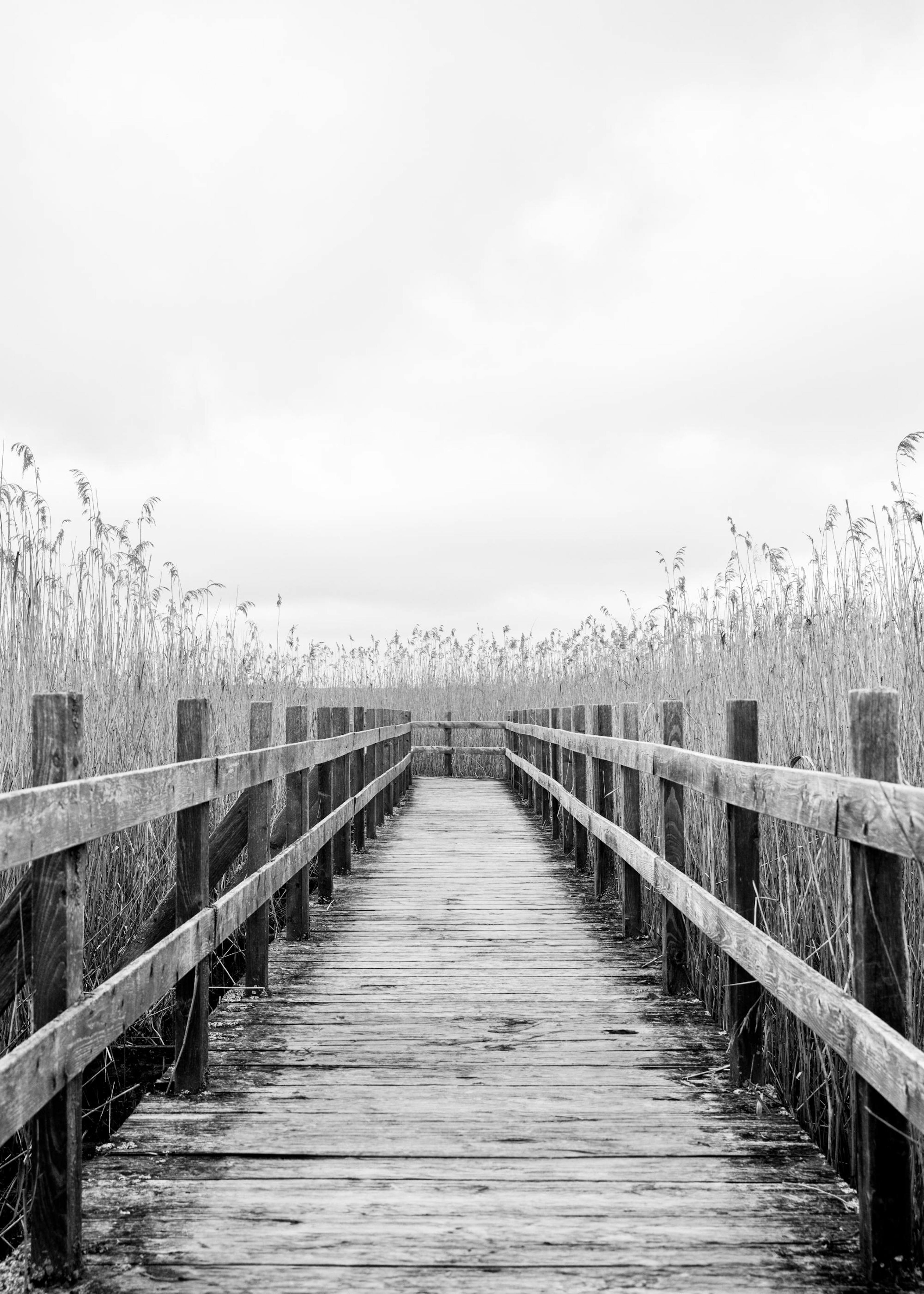 Monochrome Path Print 0