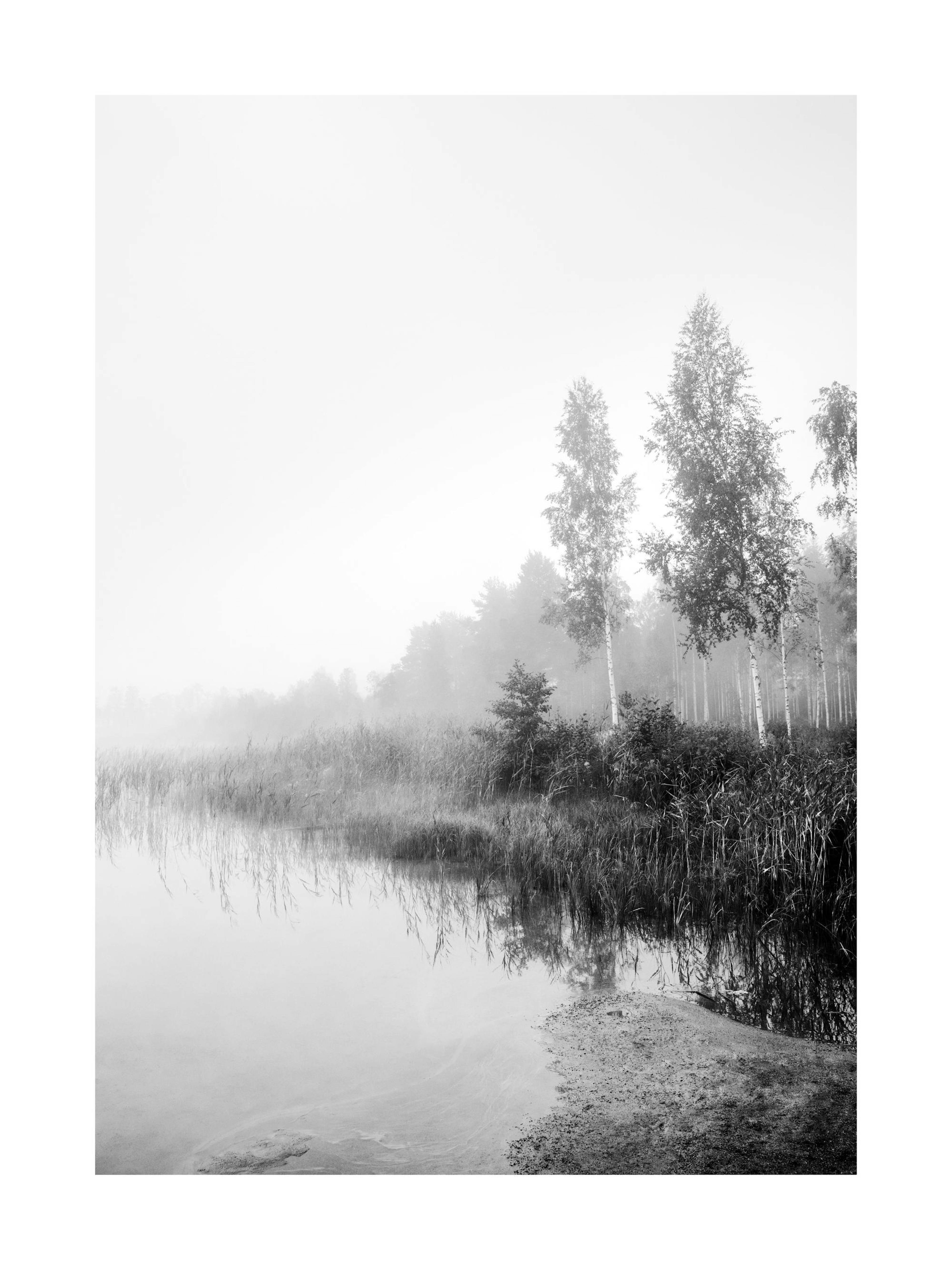 Monochrome Mist Print