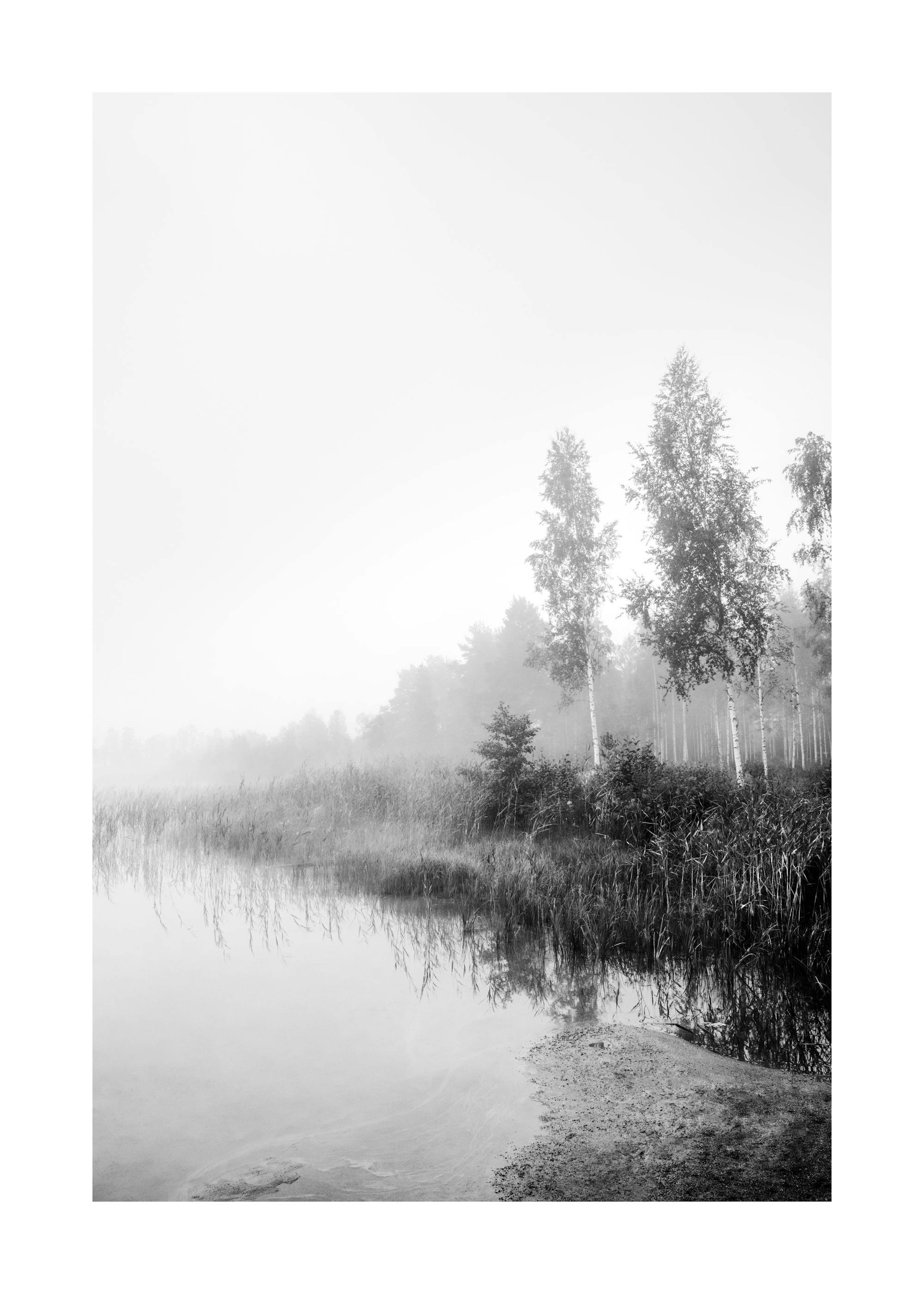 Monochrome Mist Print 0