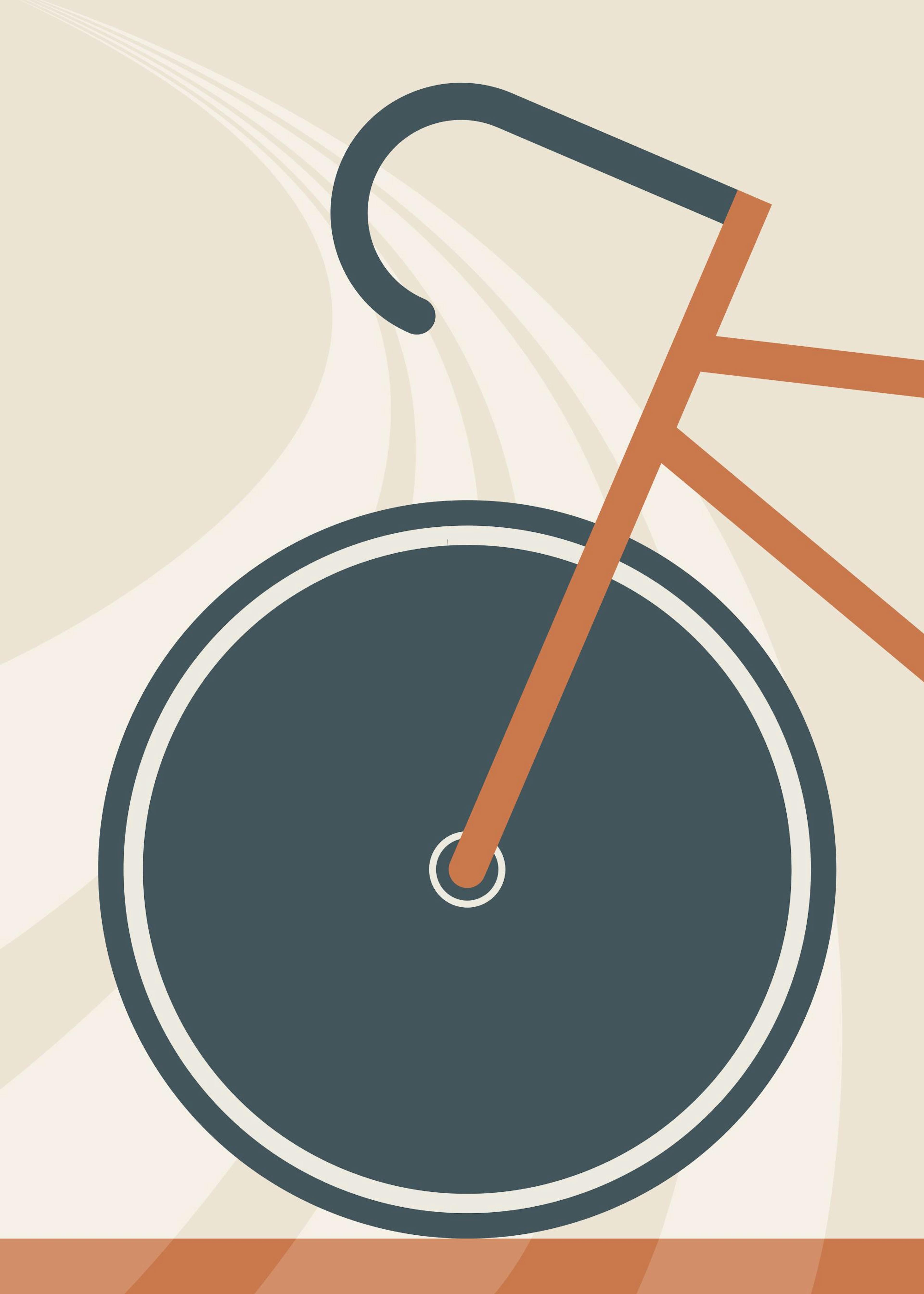 Graphical Bike Print 0