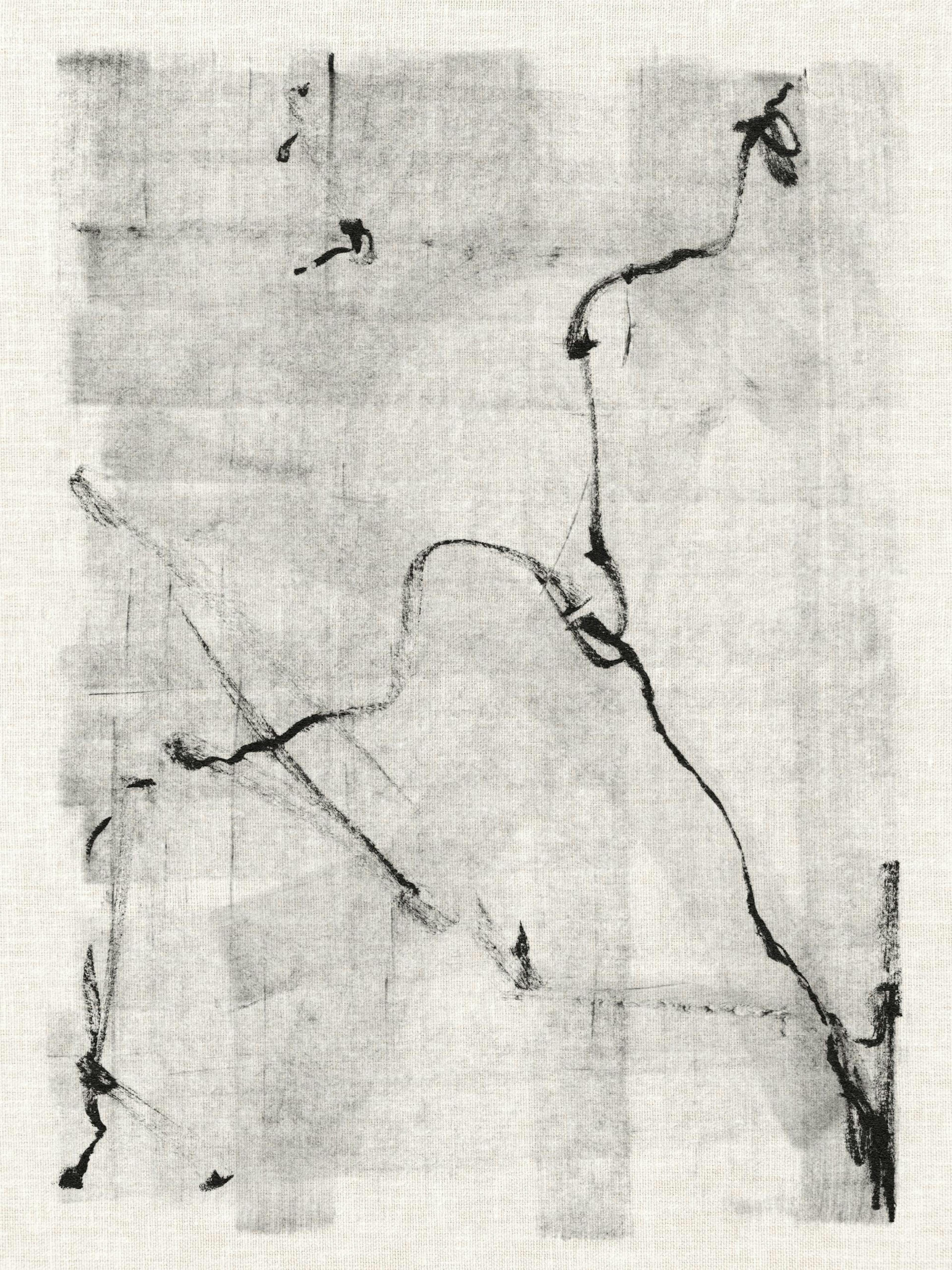 Black Lines Art Print