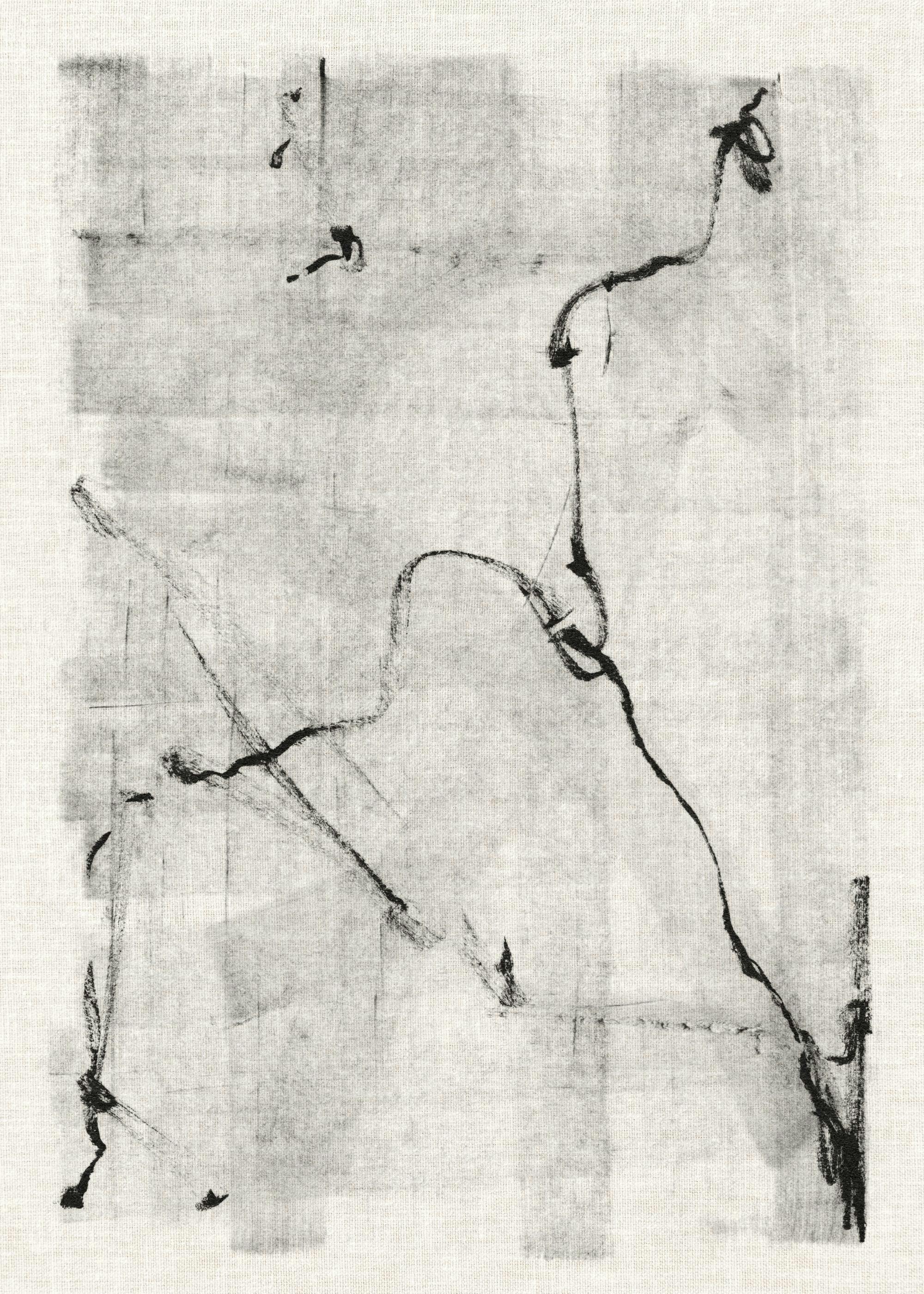 Black Lines Art Poster 0