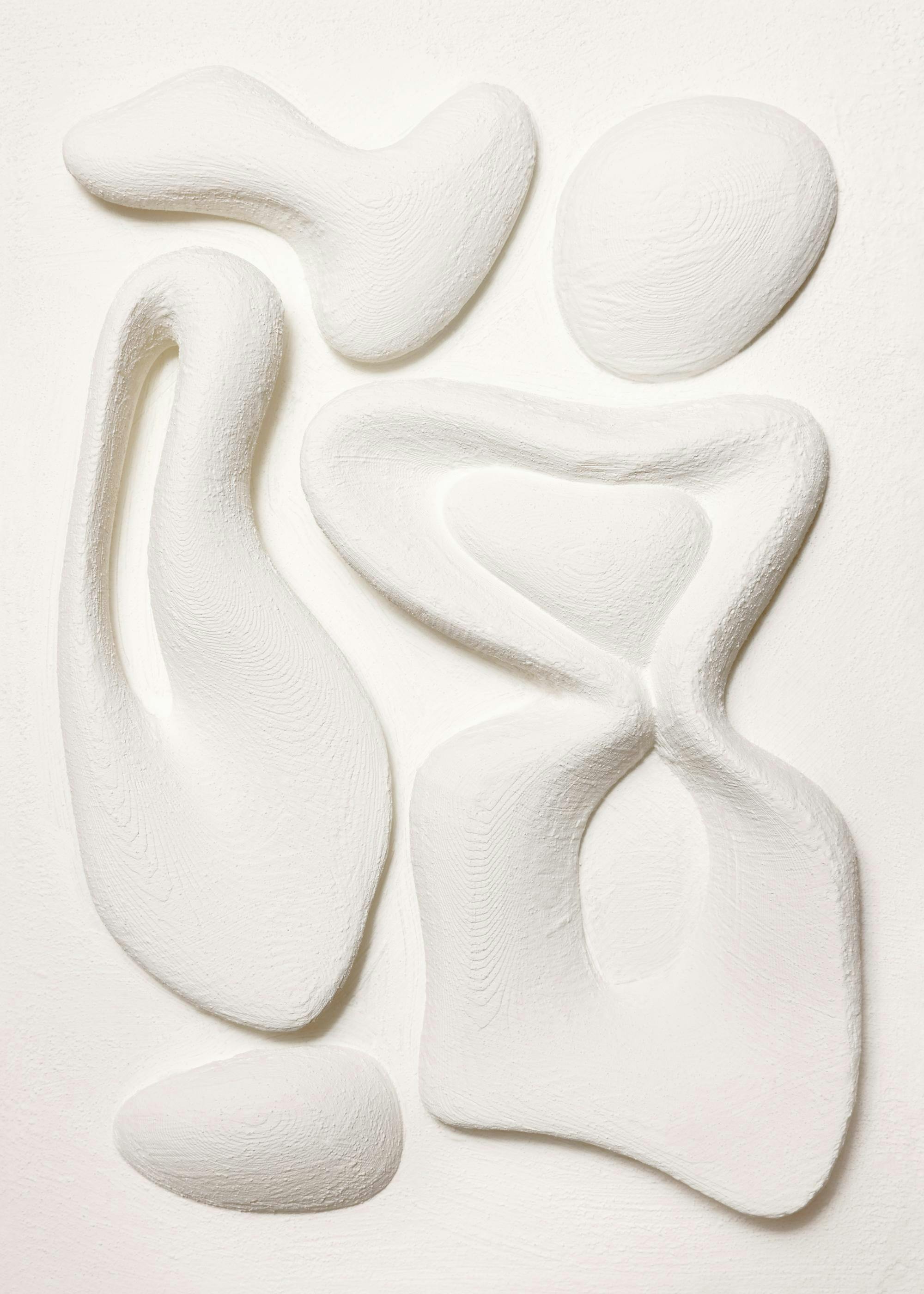 Organic Shapes Texture Poster 0