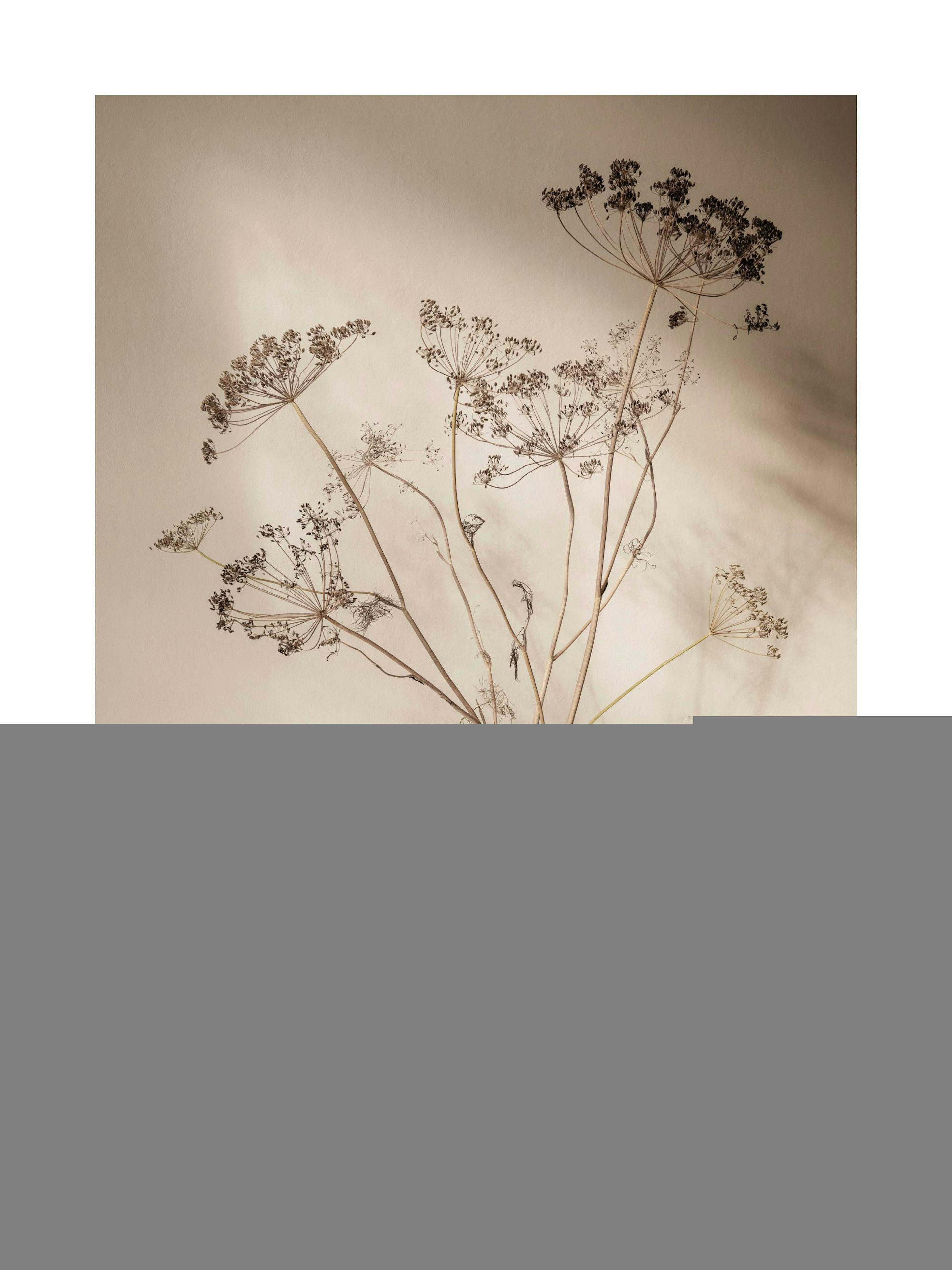 Still Life Vase Print