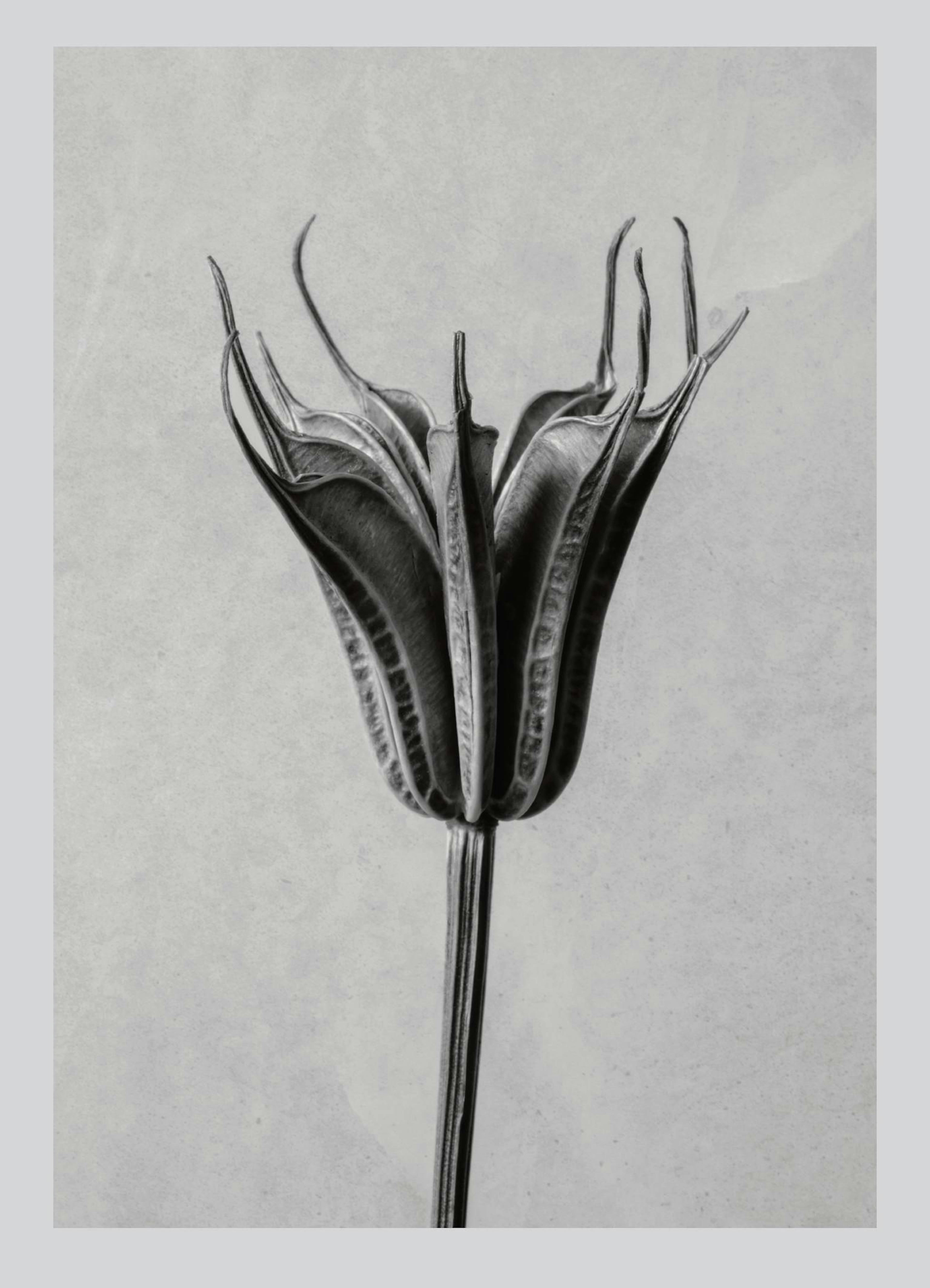 Product image: 1