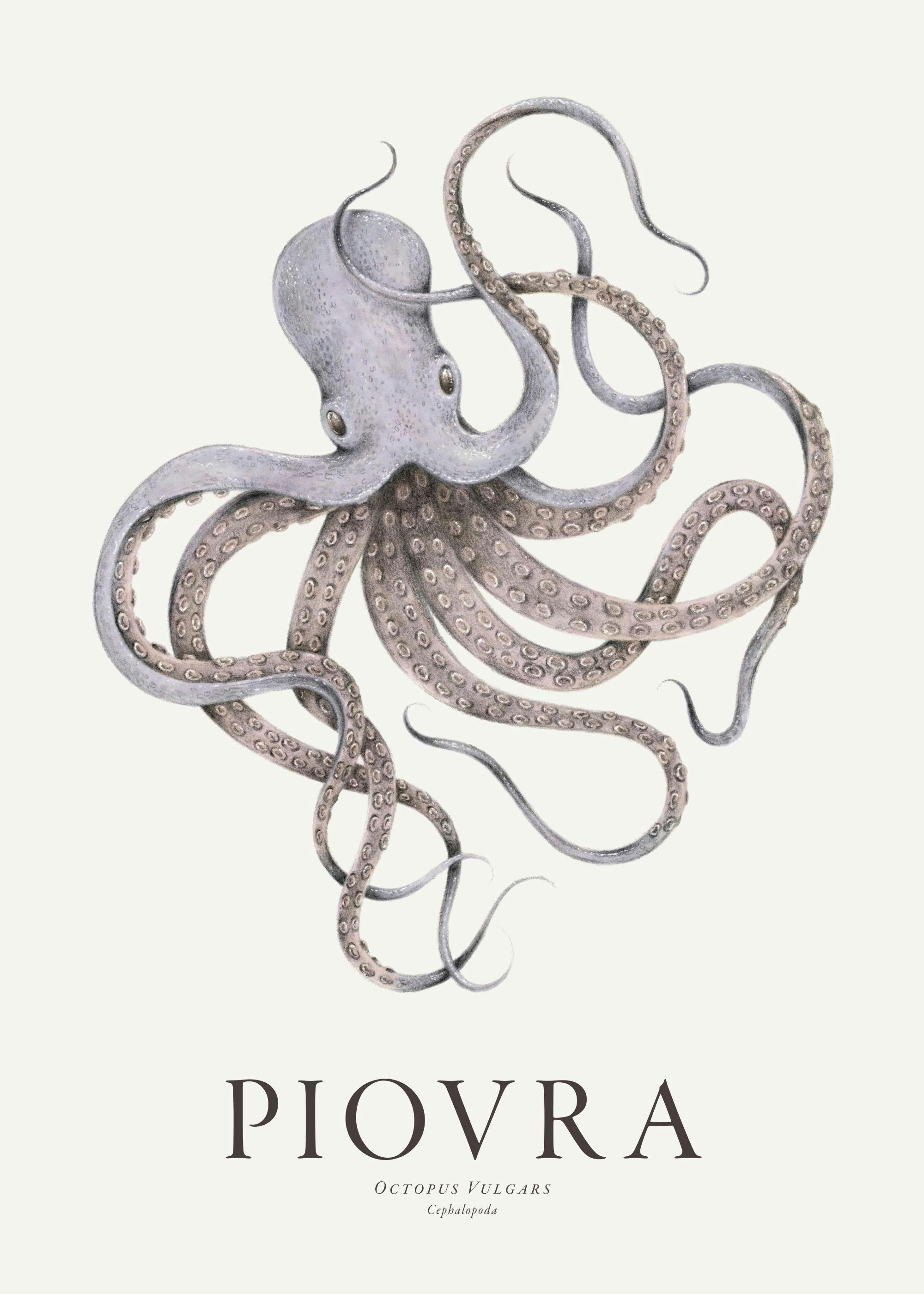 Piovra Affiche 0