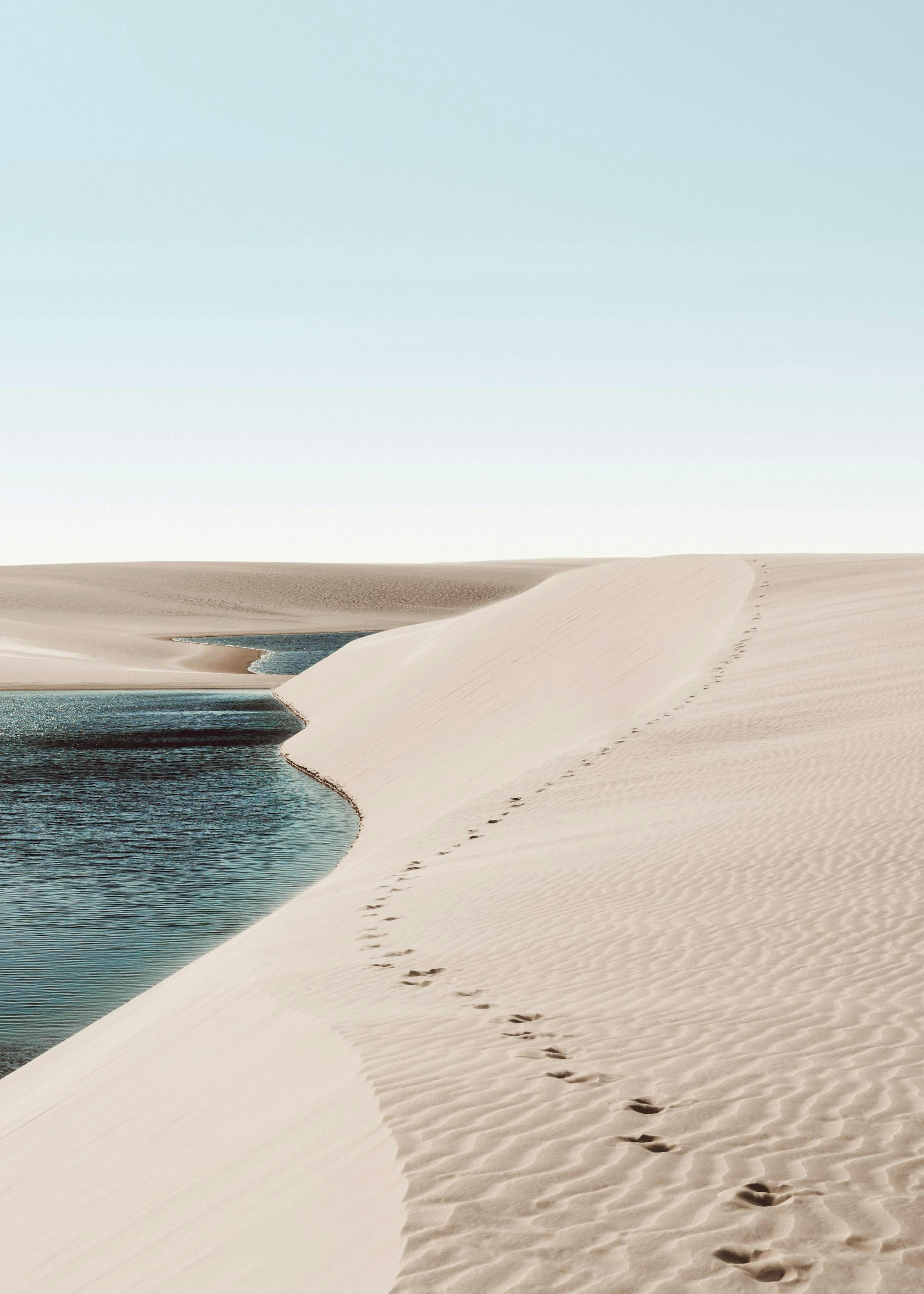 Footsteps on Dunes Poster 0