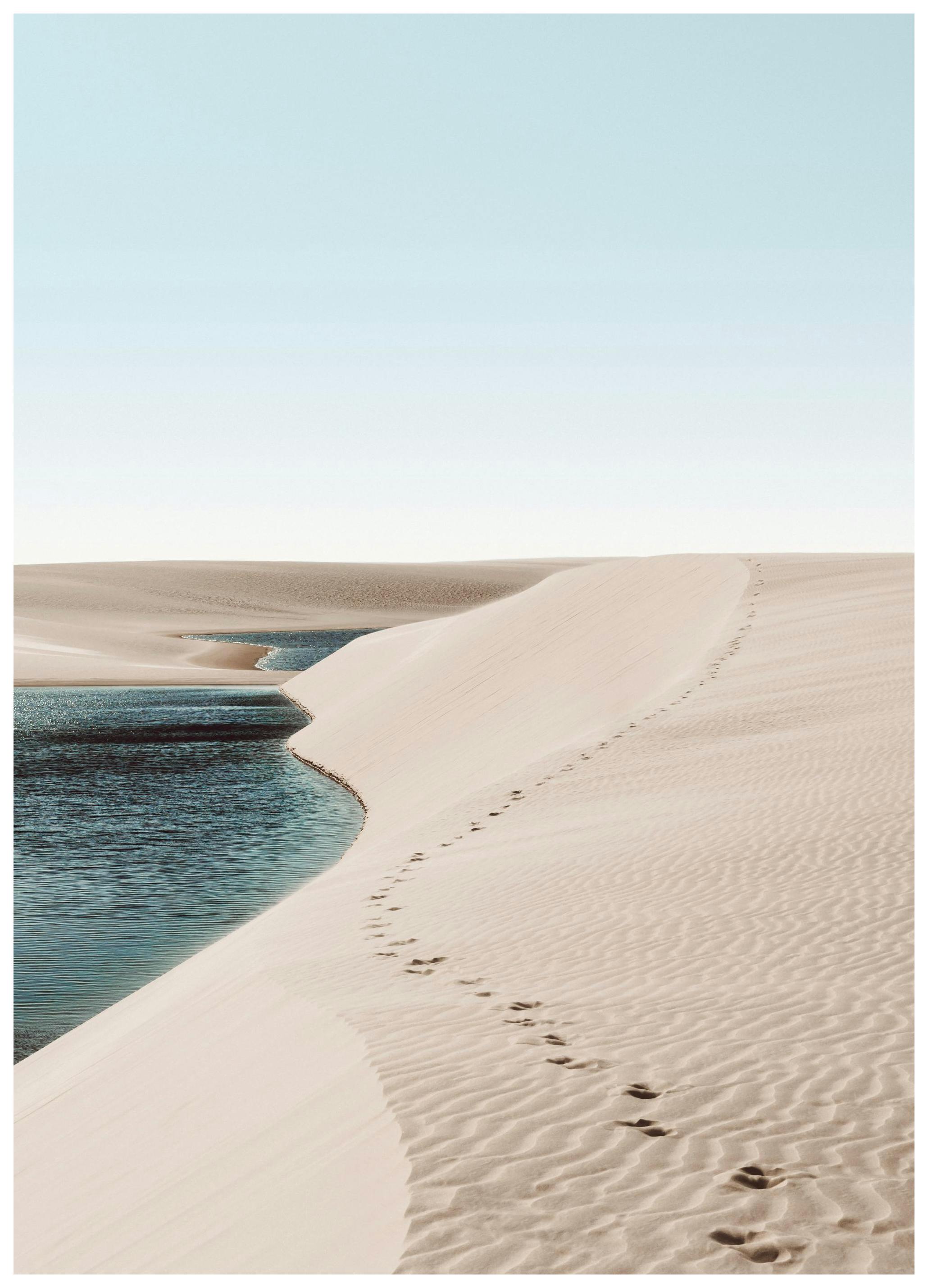 Footsteps on Dunes Poster (50x70 cm) -  Bilder mit Naturmotiven