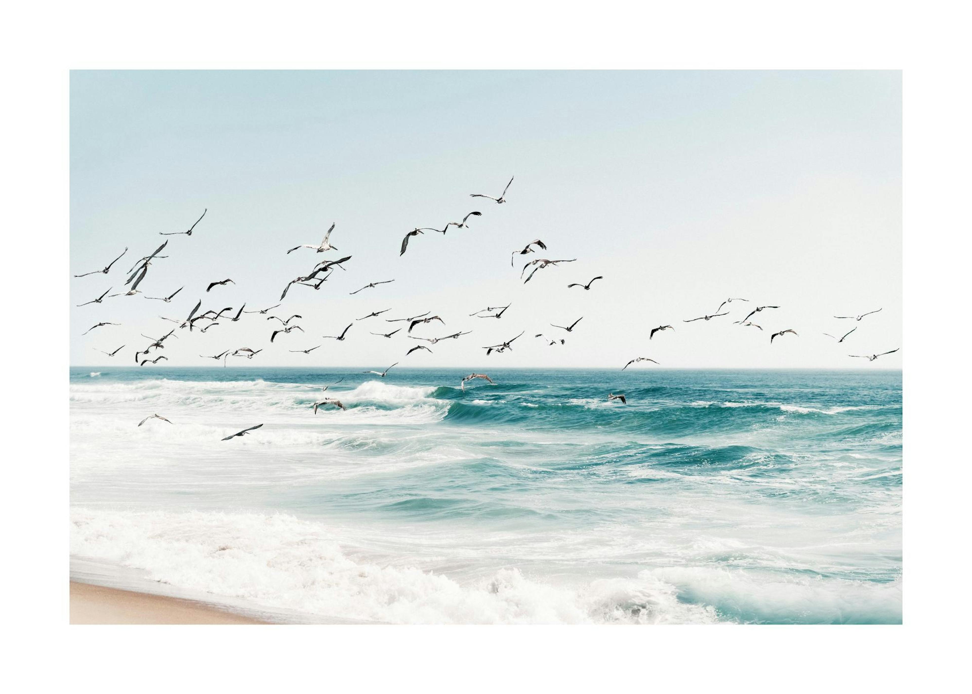 Birds on Seascape Poster 0