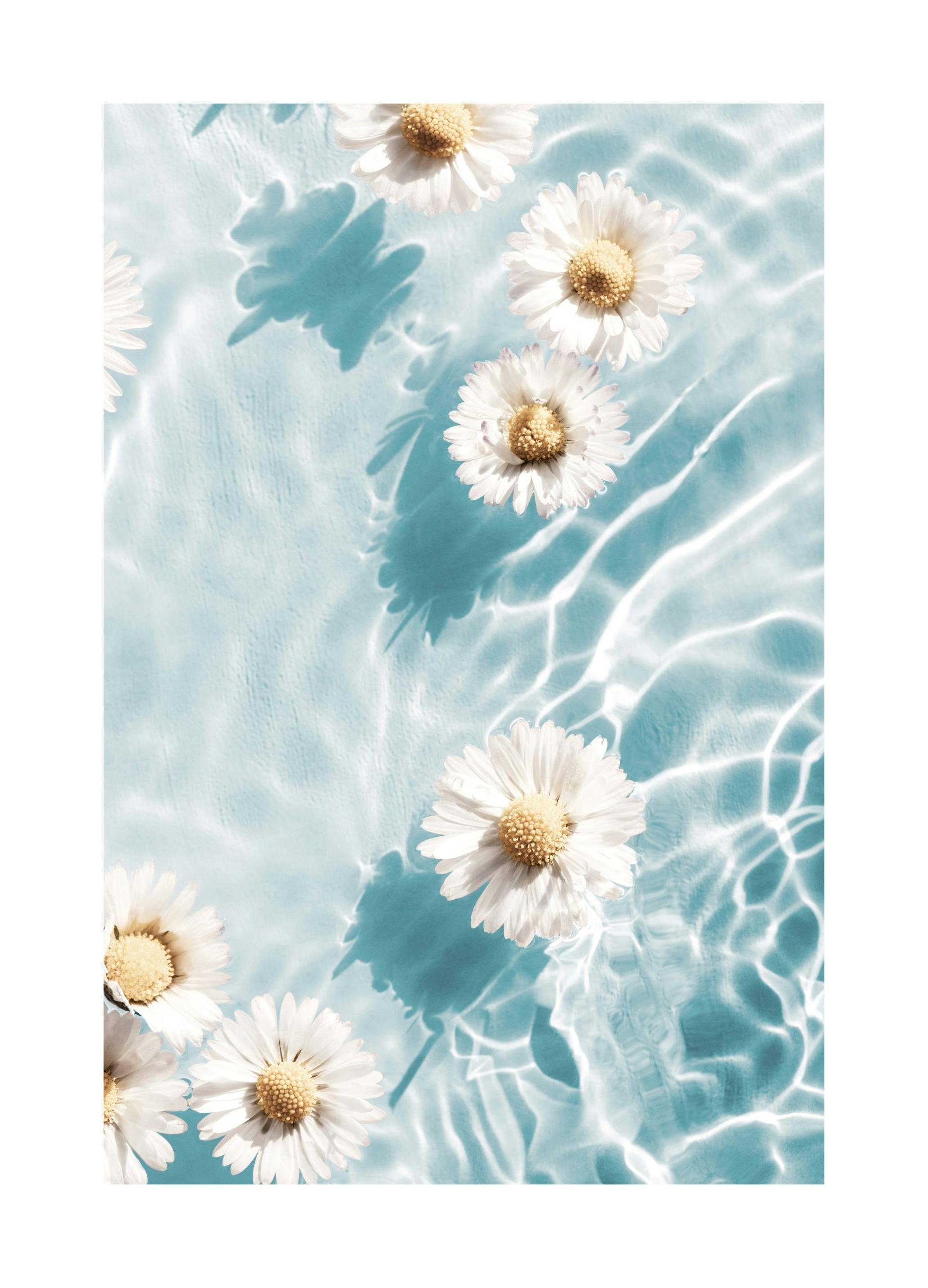 Blossom on Surface Poster (30x40 cm)- Posters de flores