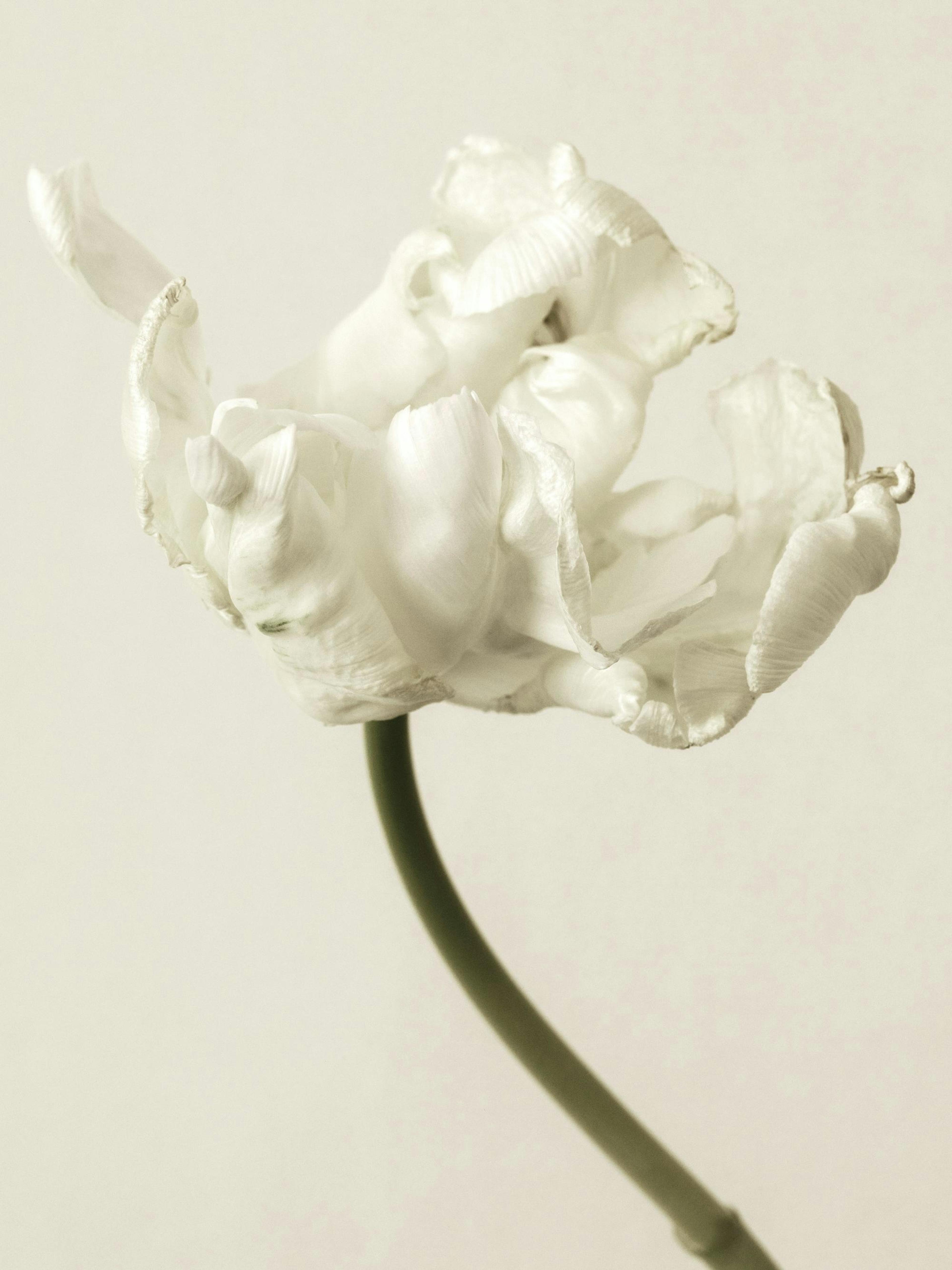 Product image: 1
