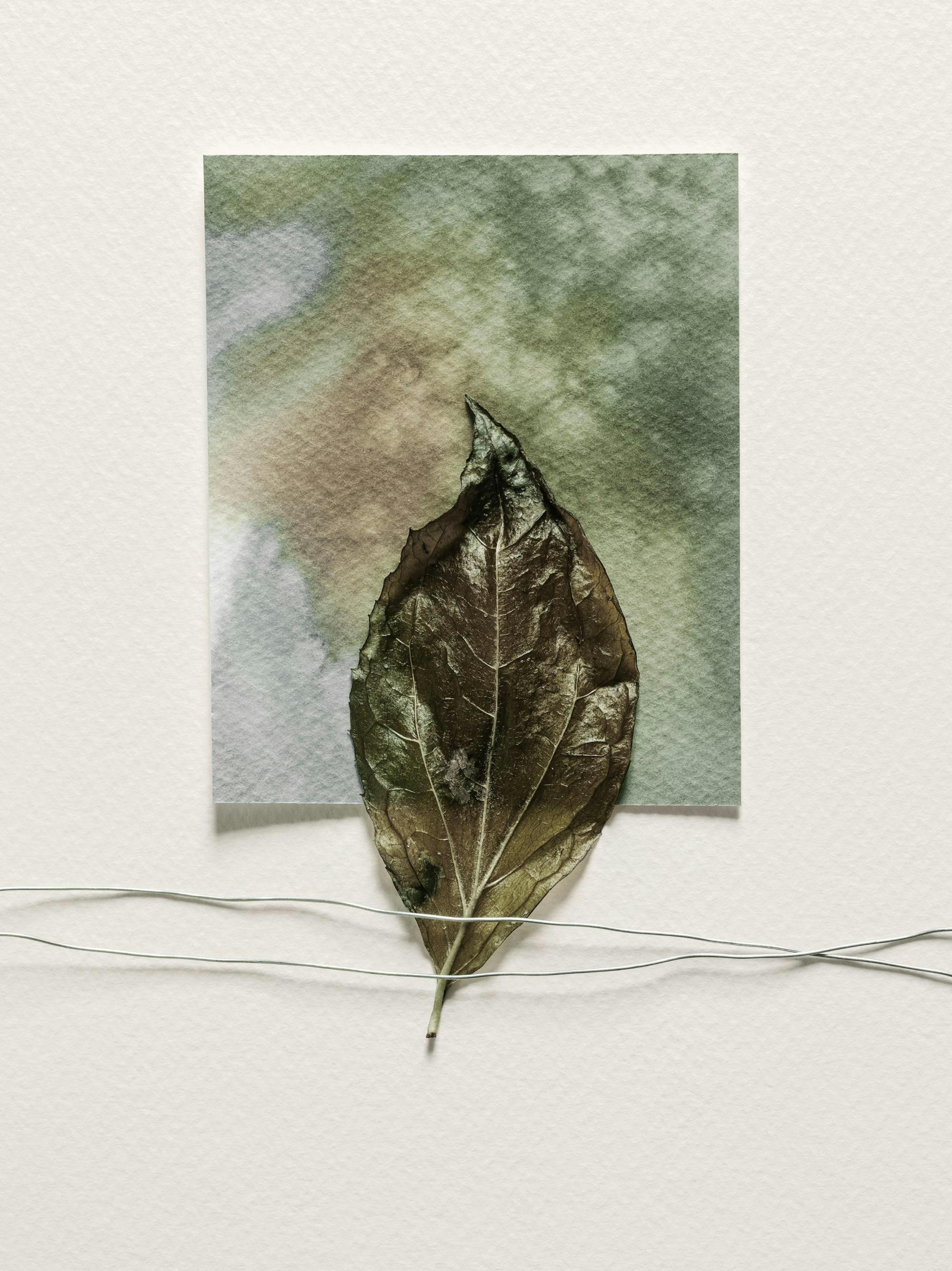 Product image: 1