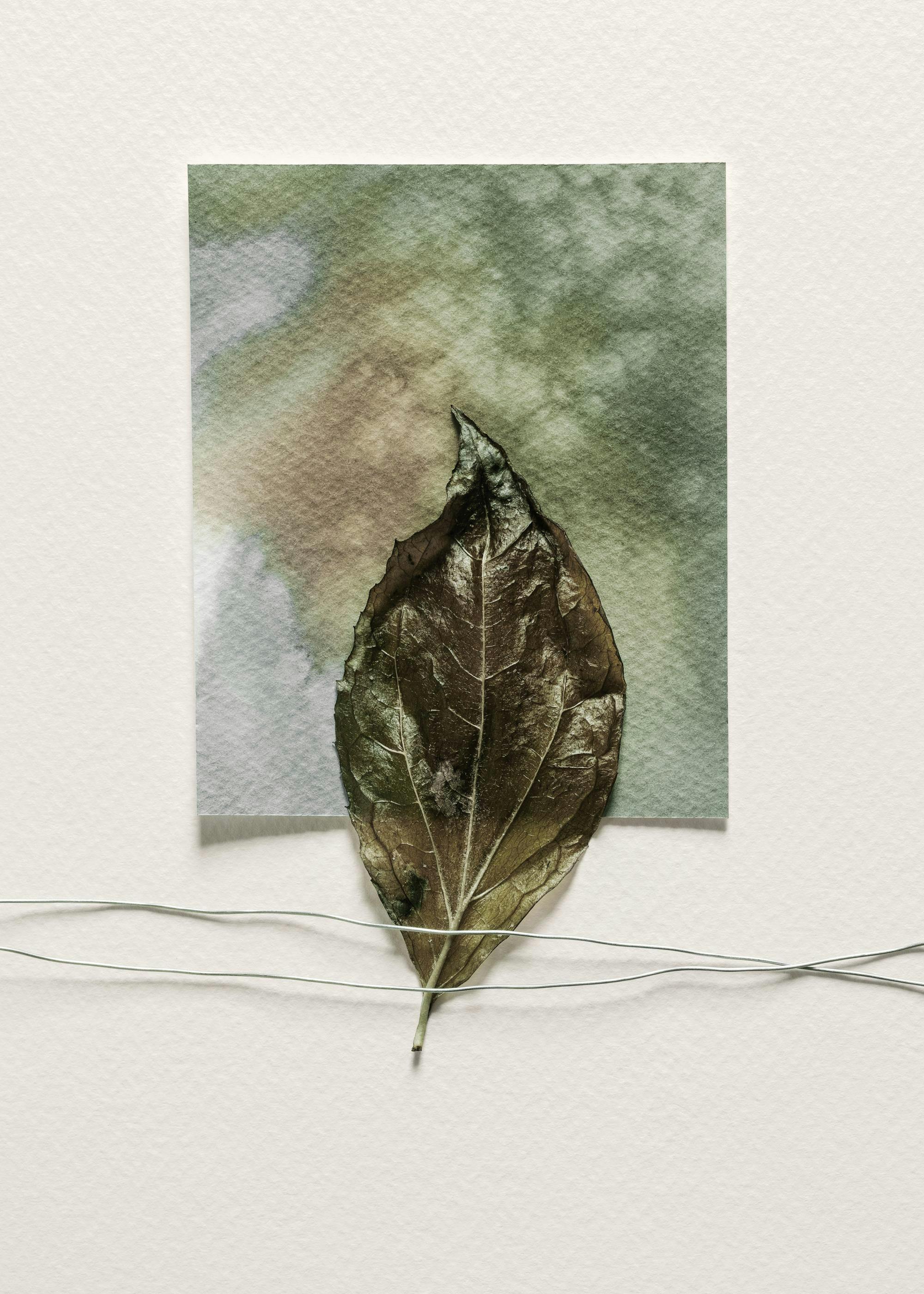 Art of Leaf Plakat 0