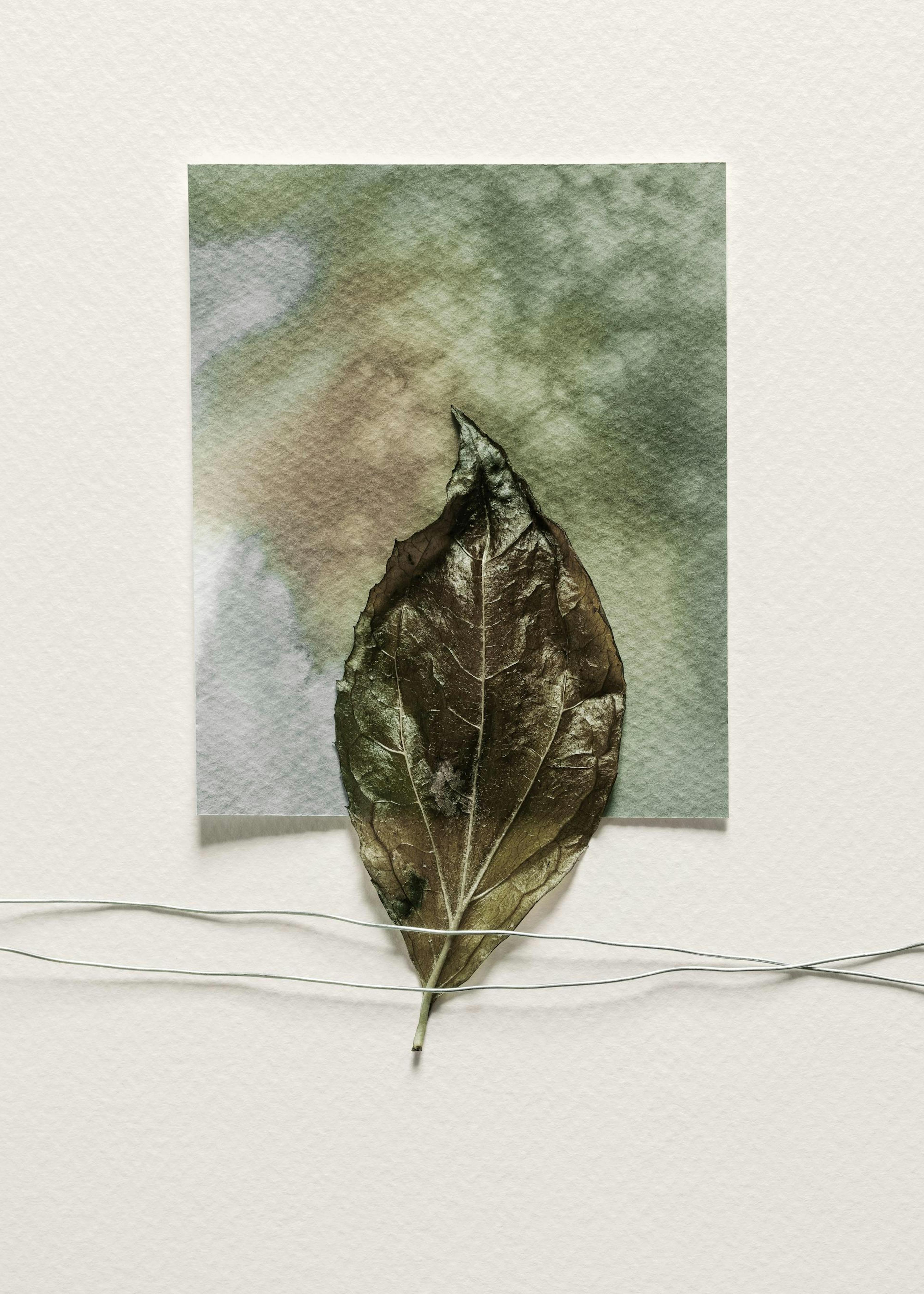Art of Leaf Plakat 0