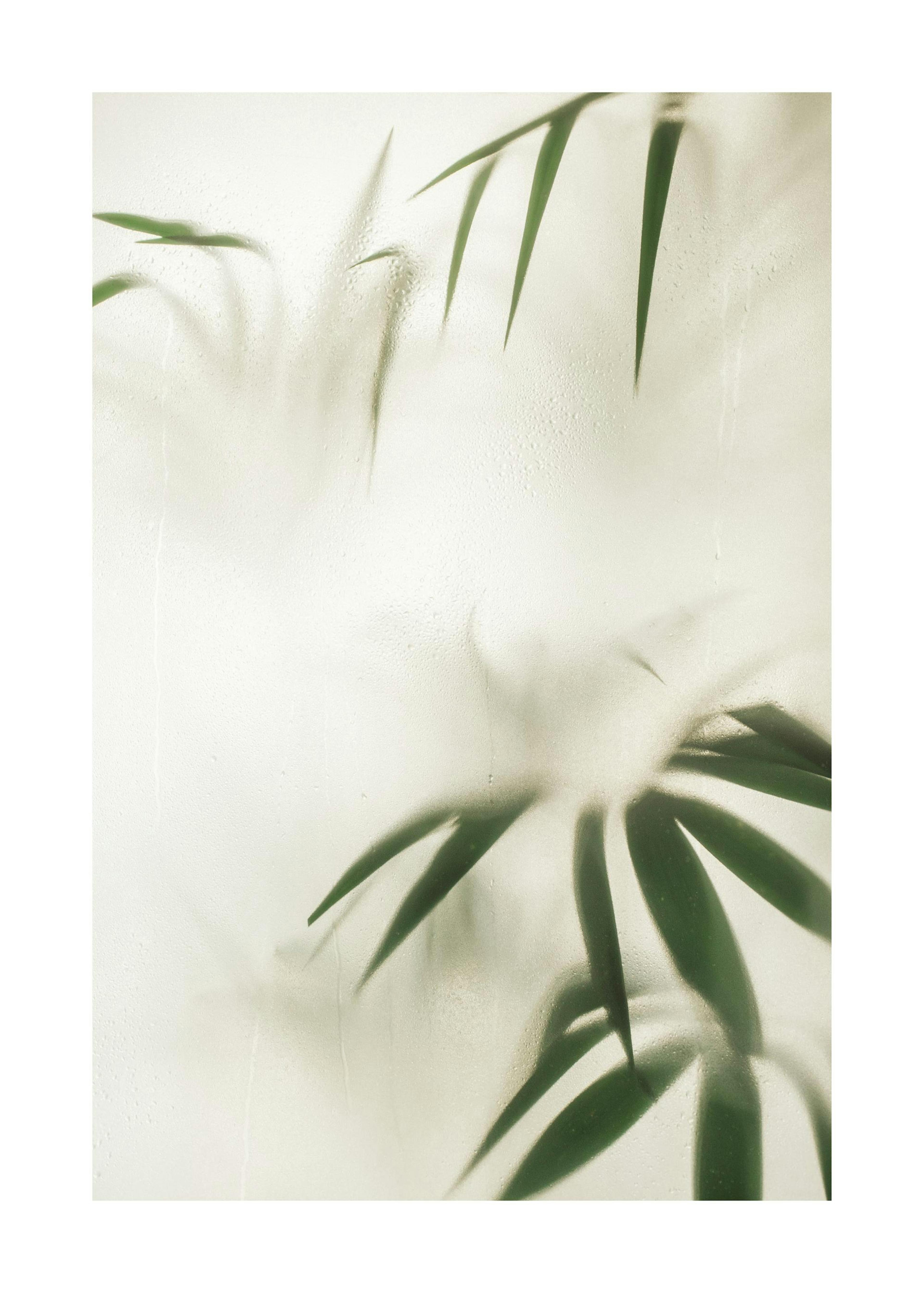 Leaves in Disguise Plakat 0