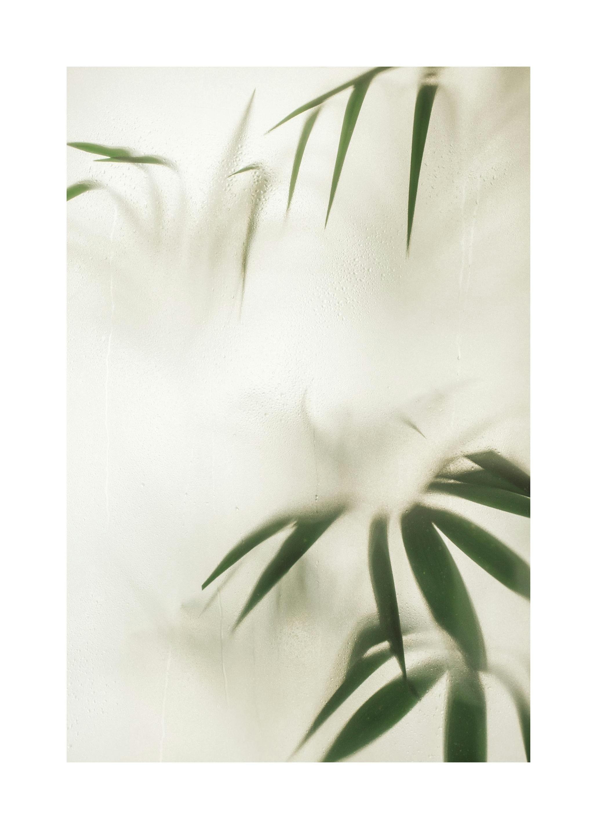 Leaves in Disguise Affiche (30x40 cm) - Photographies