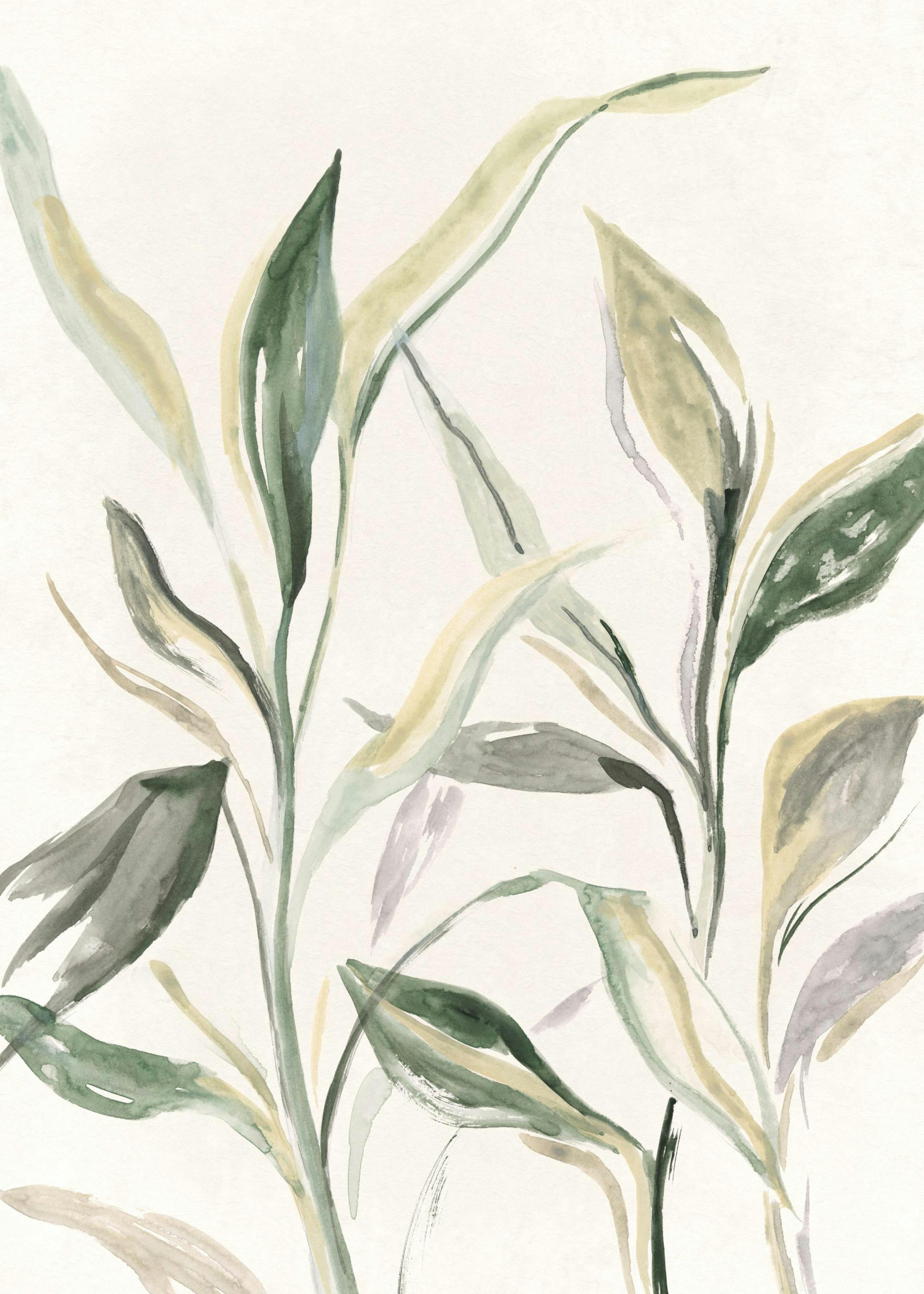 Painted Plant Affiche 0