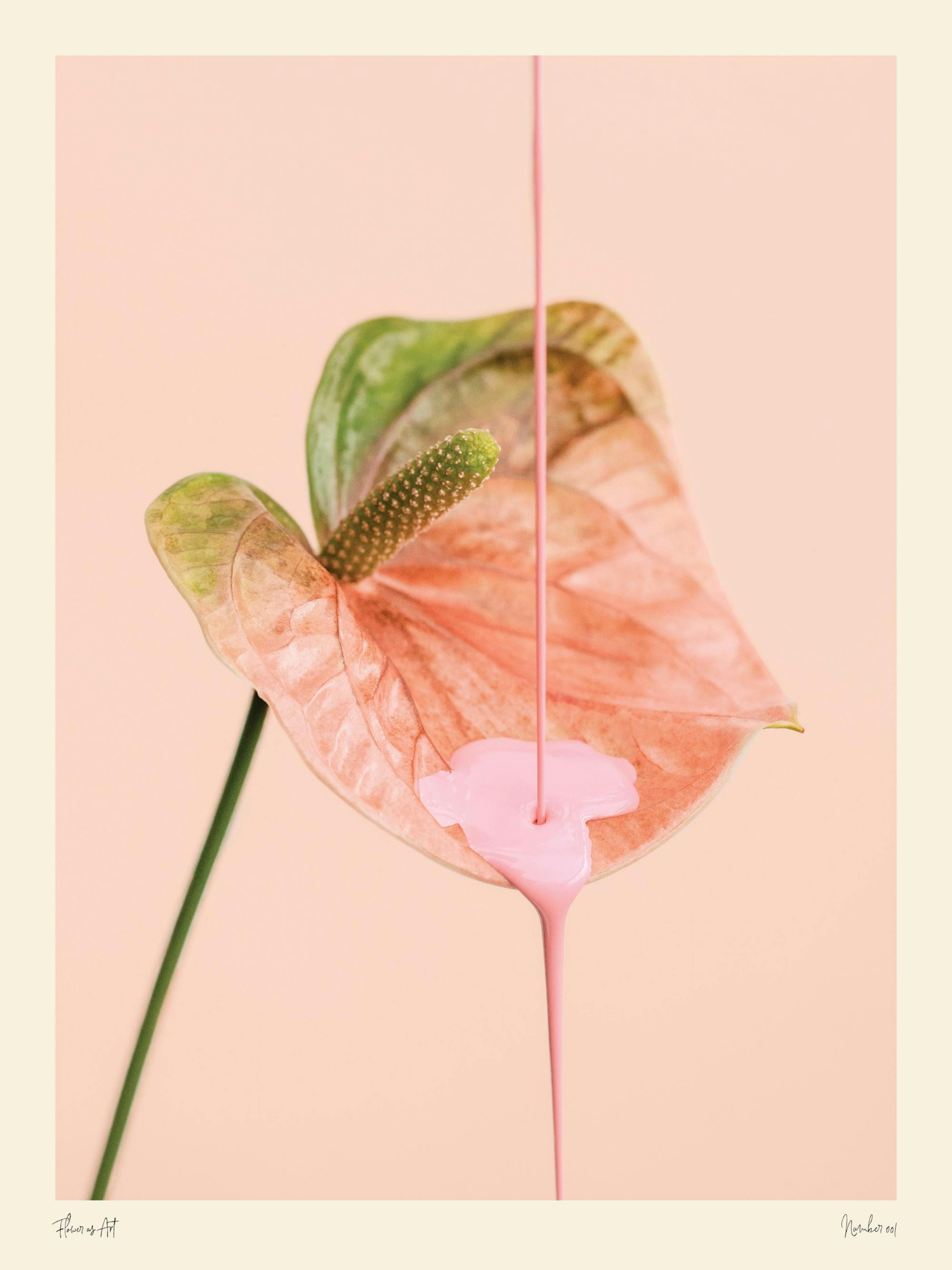 Flower as Art Plakát