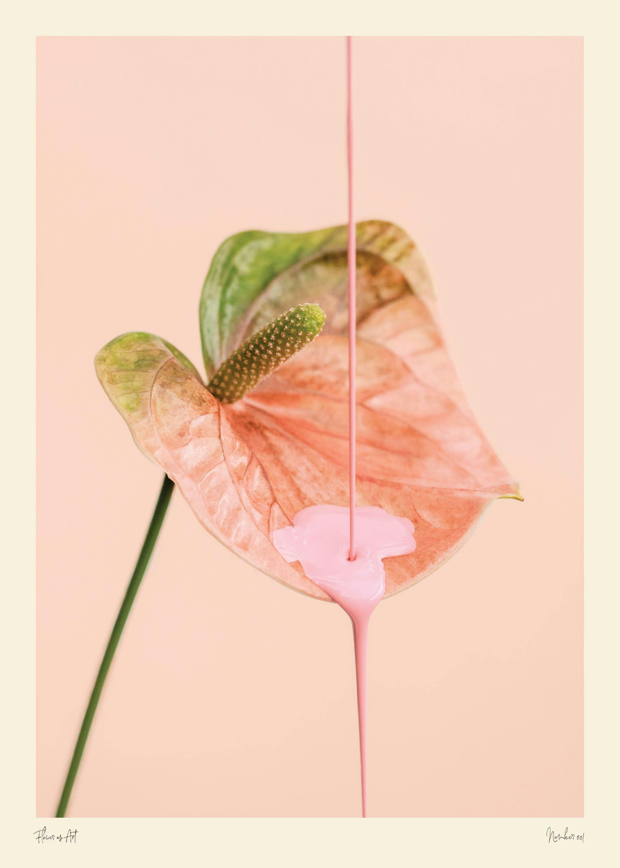 Flower as Art Plakat 0
