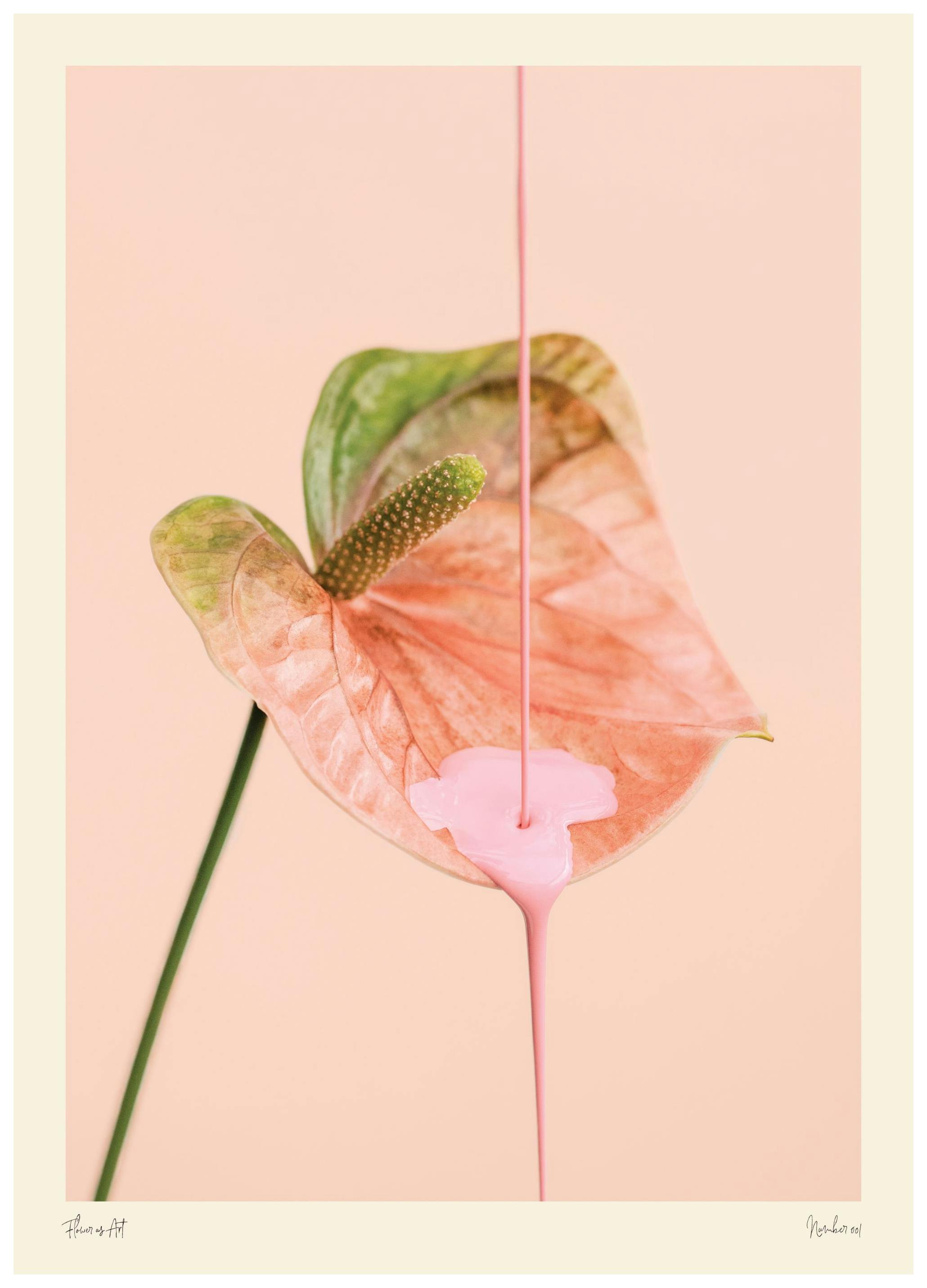 Flower as Art Poster (50x70 cm) -  Fotografien