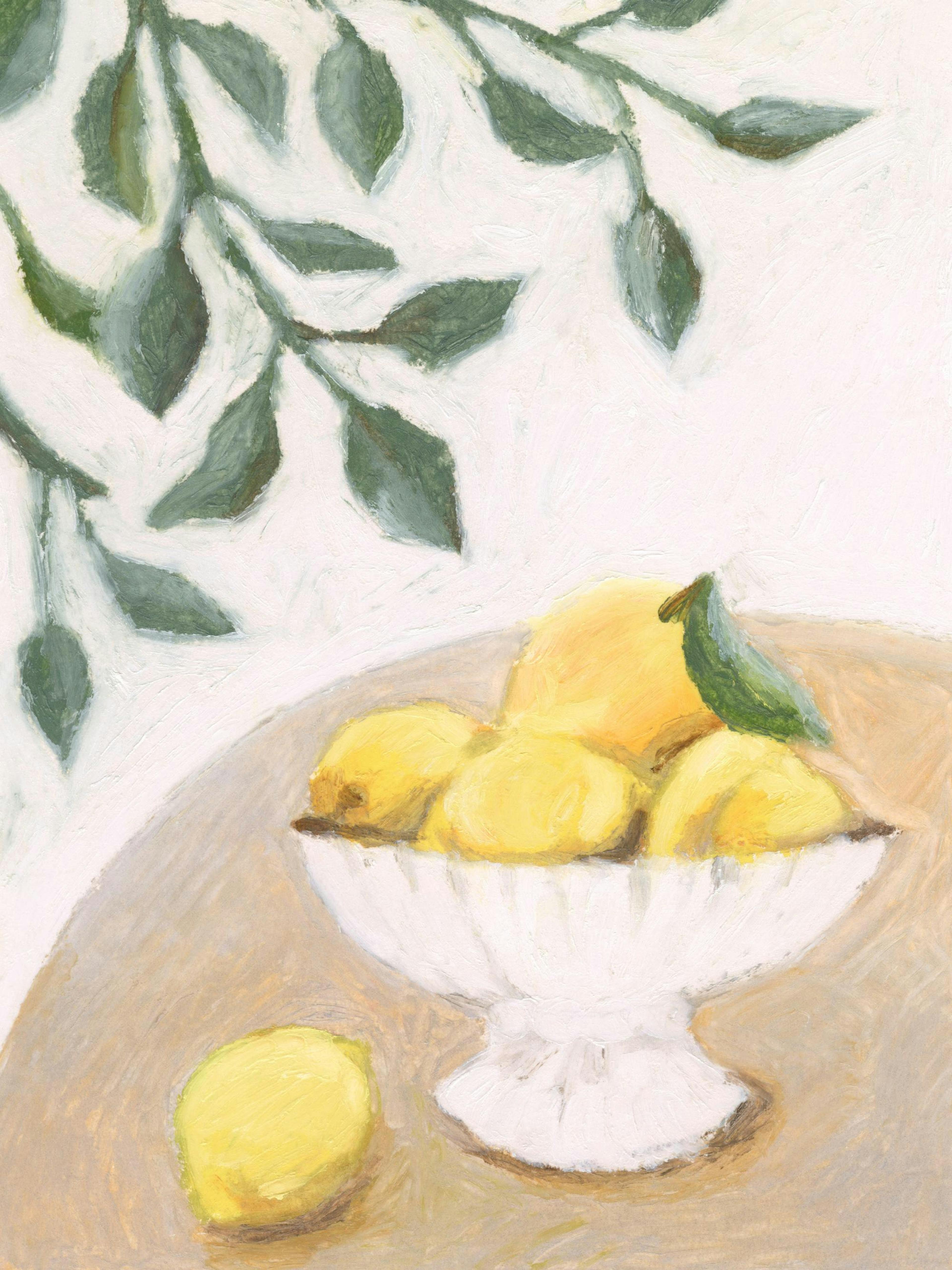 Bowl of Citrus Poster 0