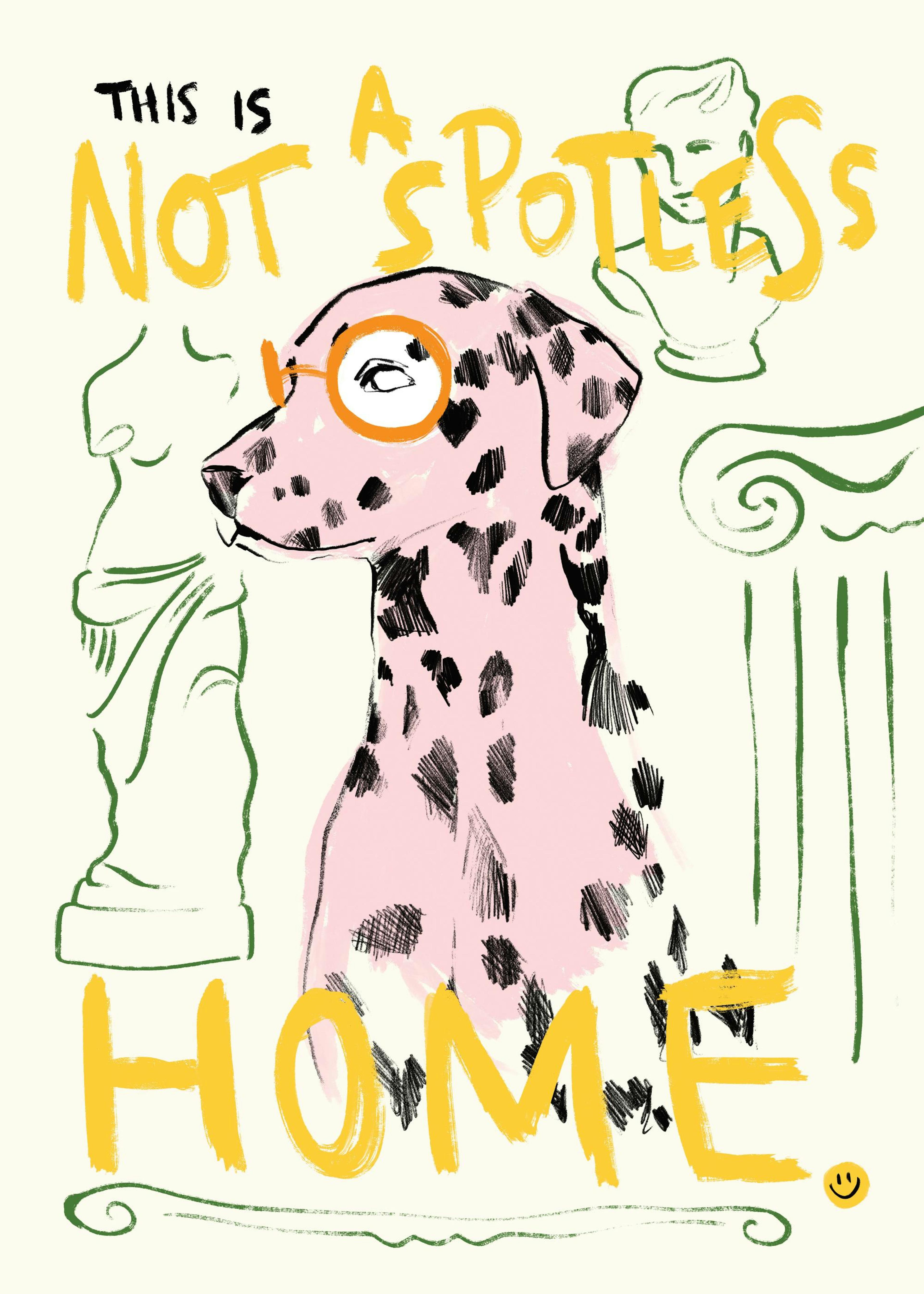 Not a Spotless Home Affiche 0