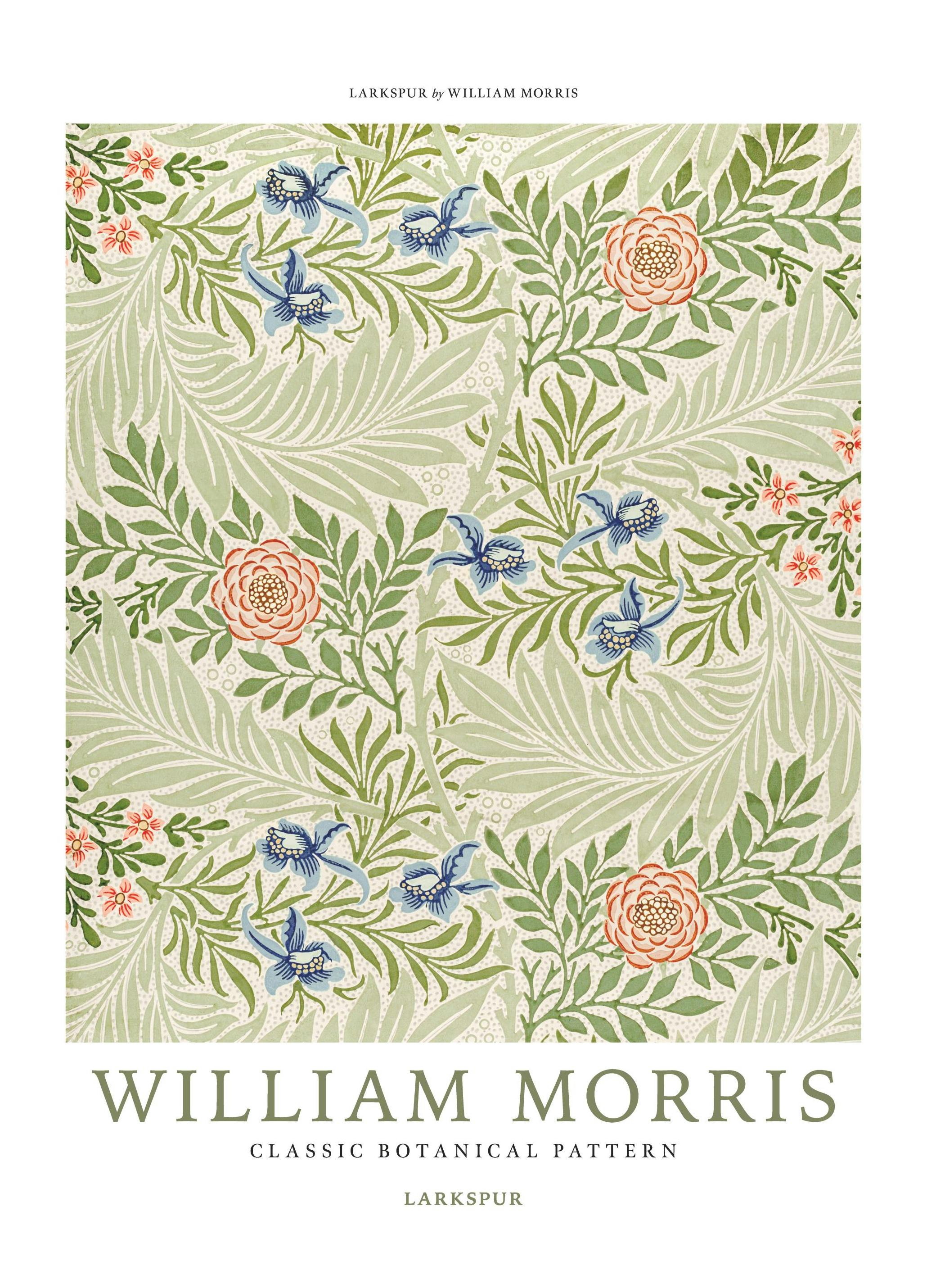 William Morris - Larkspur No4 Poster (30x40 cm)