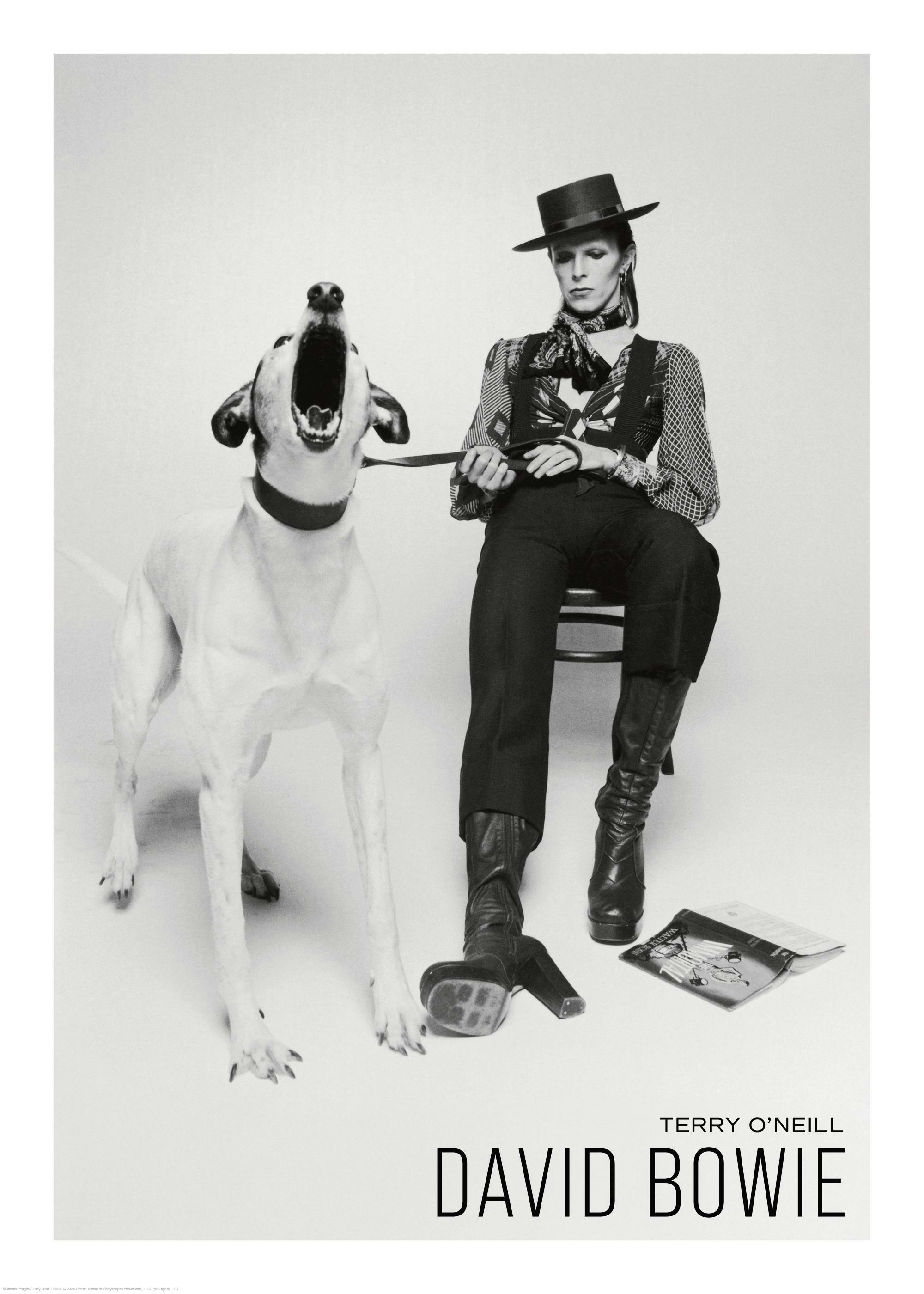Terry O'Neill - David Bowie Print 0