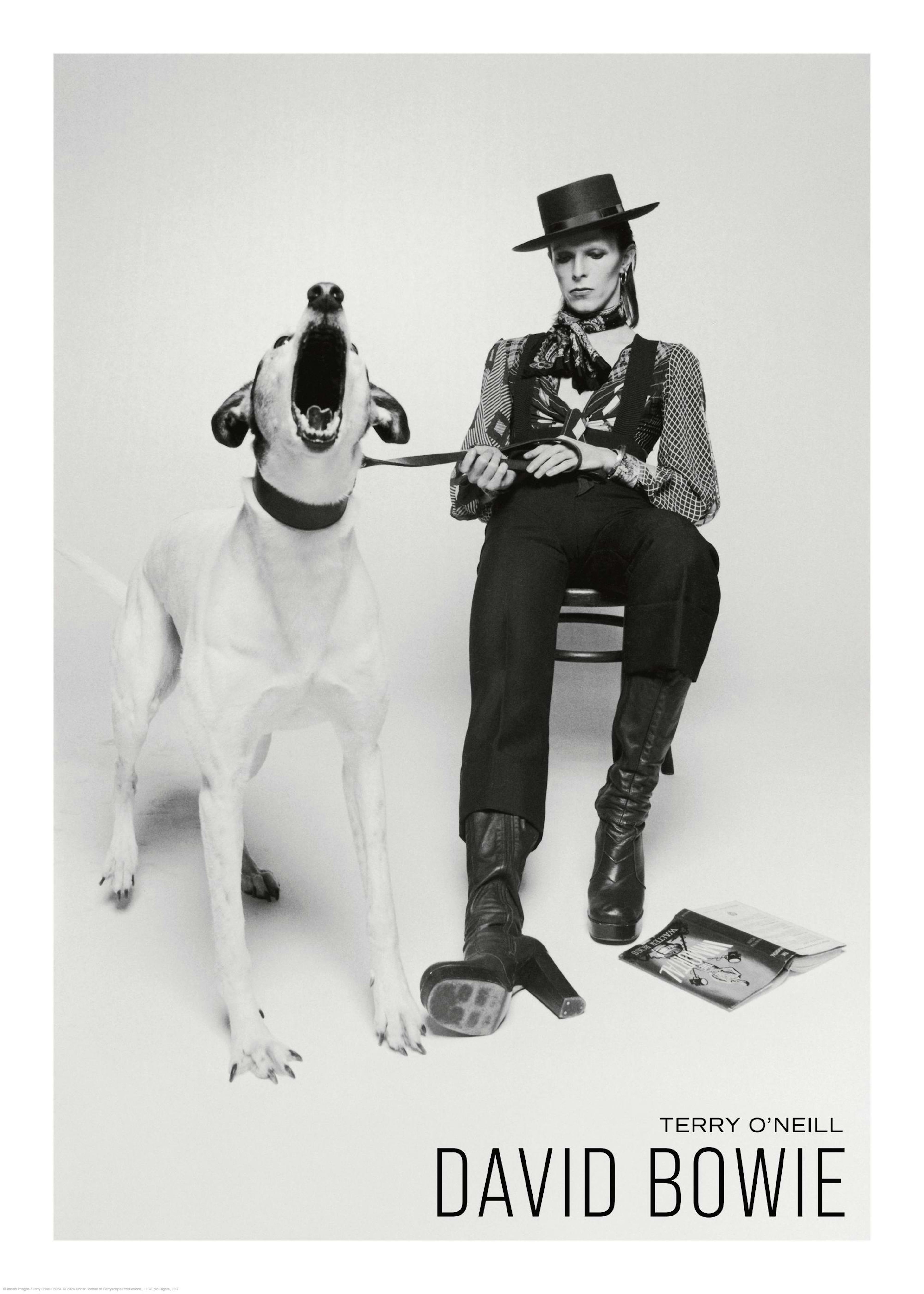Terry O'Neill - David Bowie Print 0