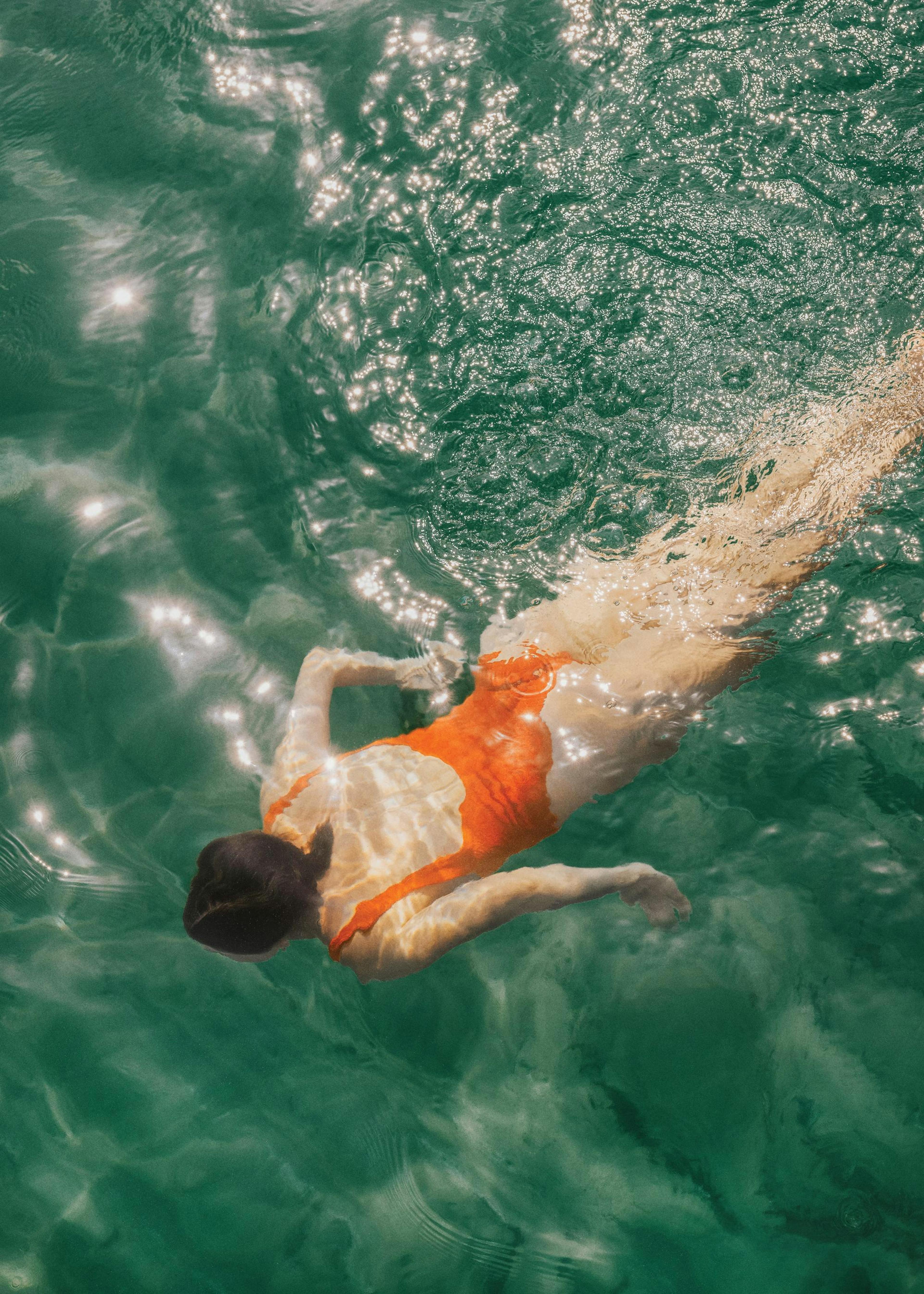 Mediterranean Dip Poster 0