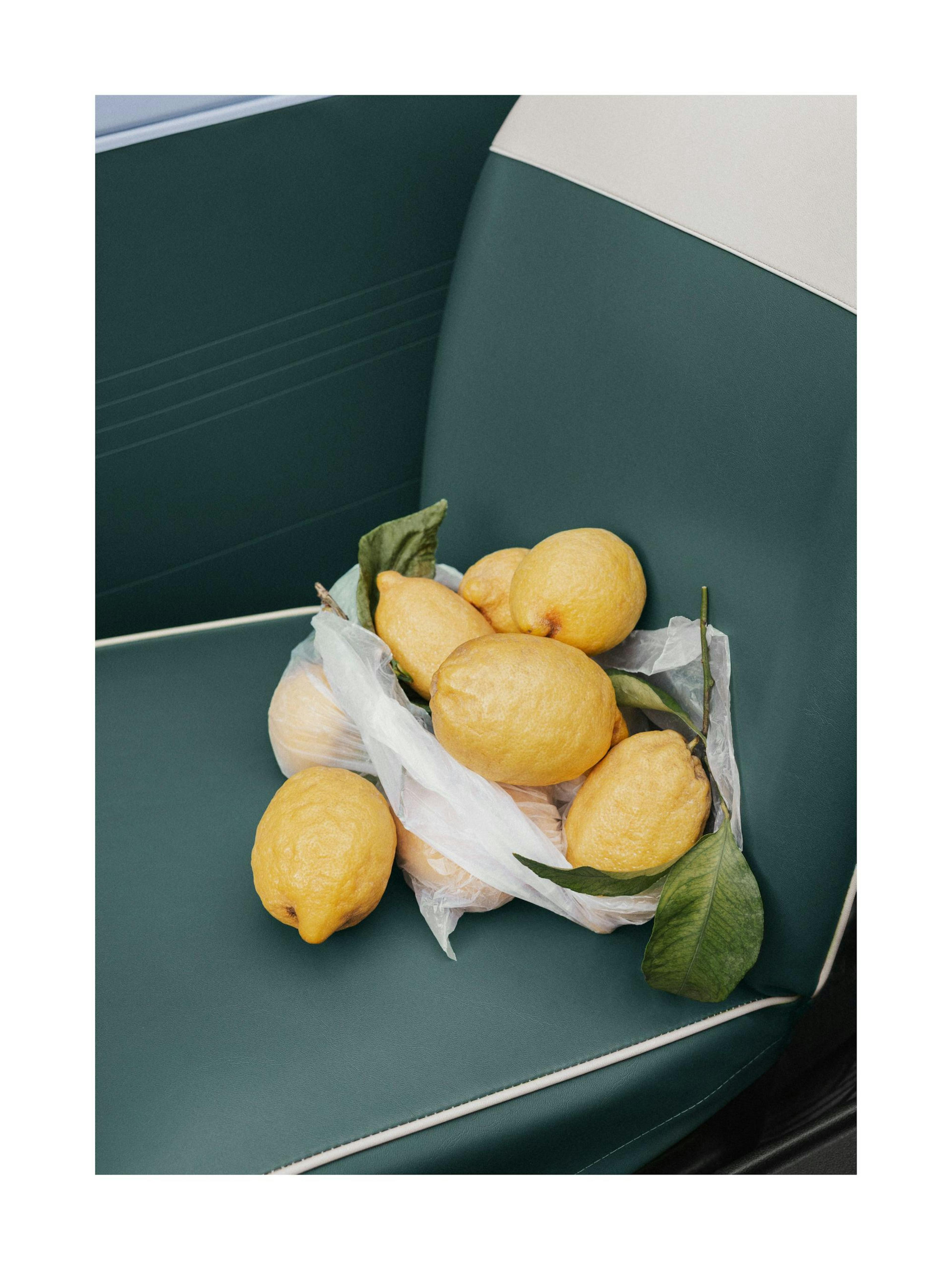 Lemon Drive Print