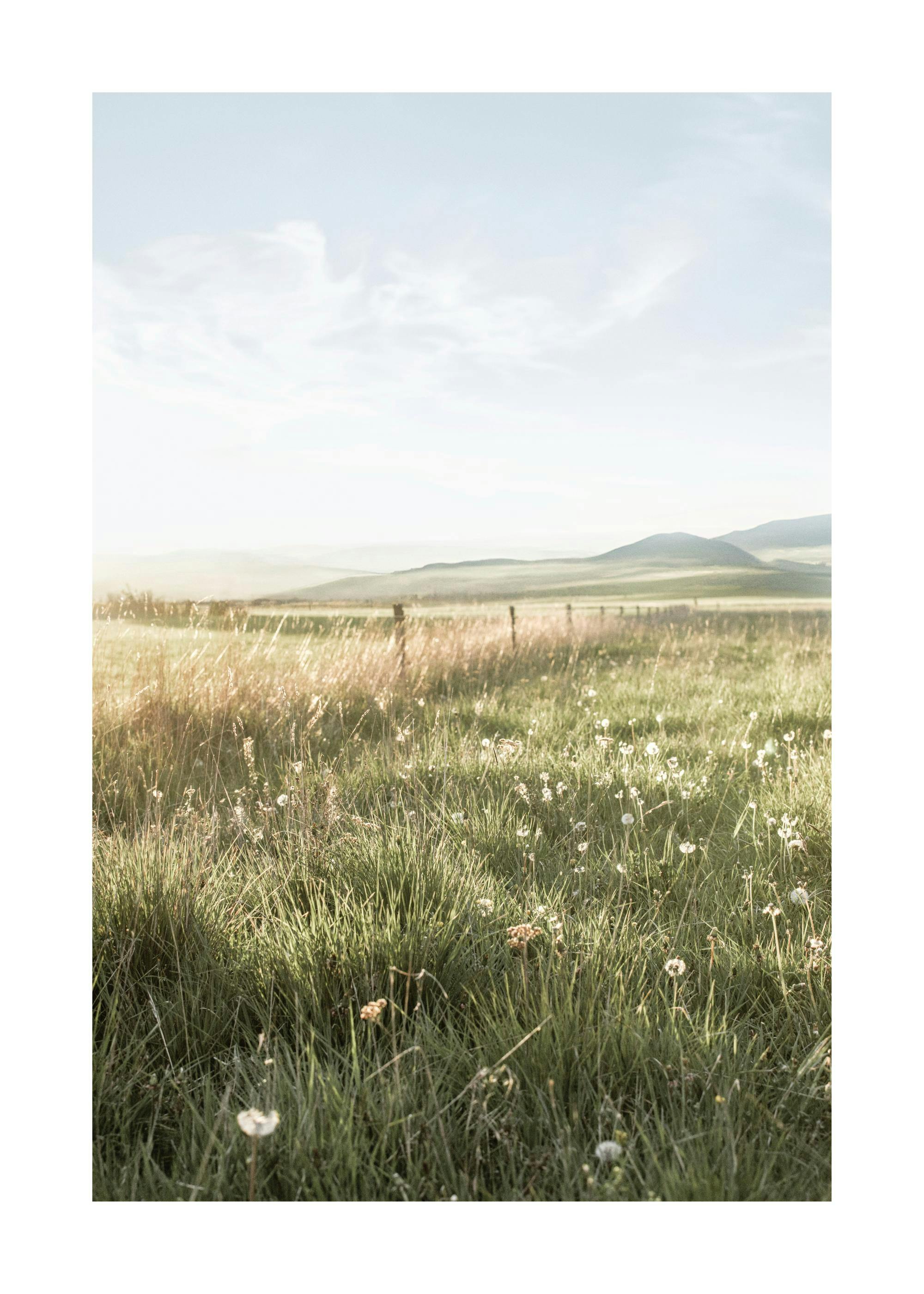 Field Sunset Print 0
