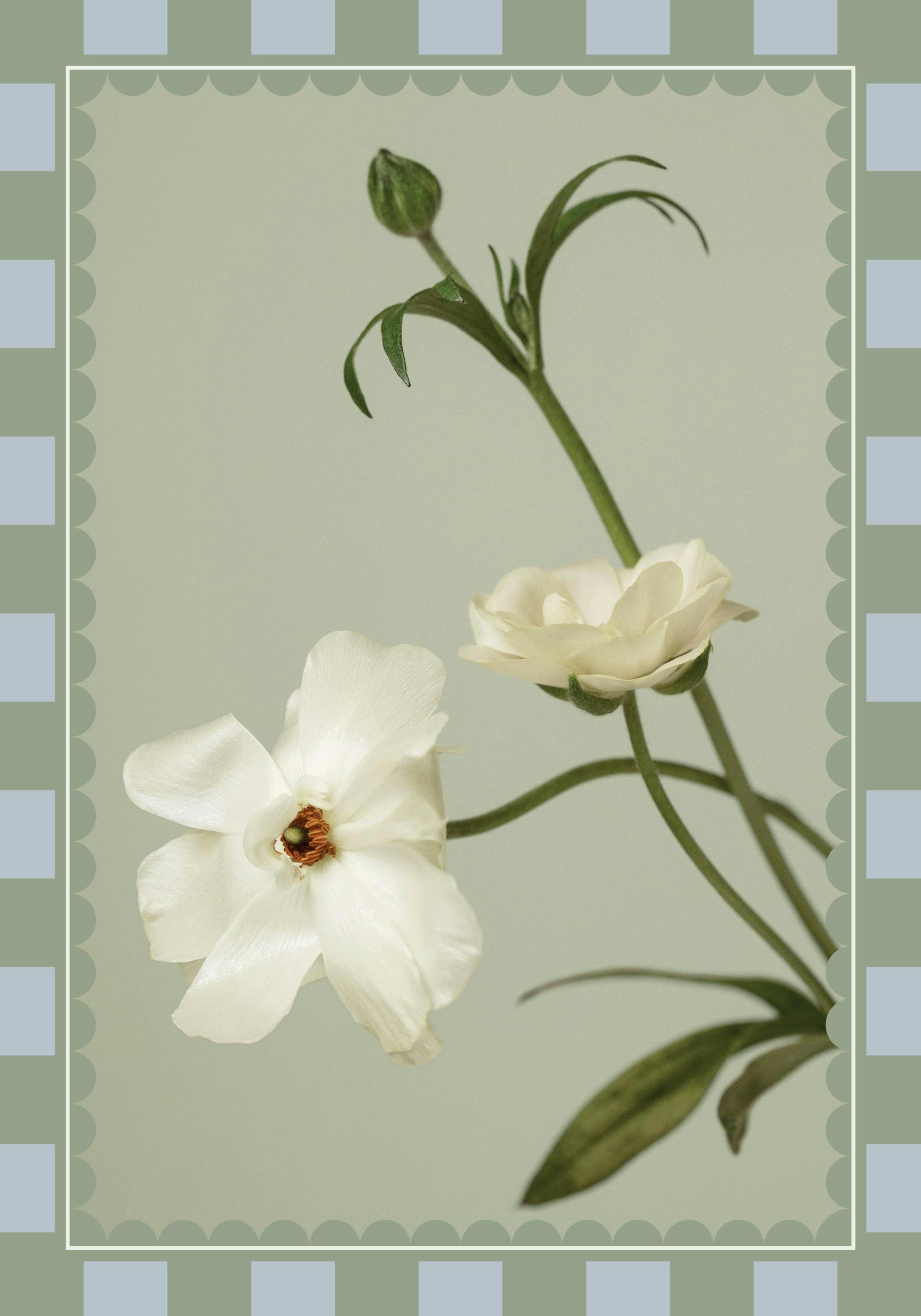 Product image: 1