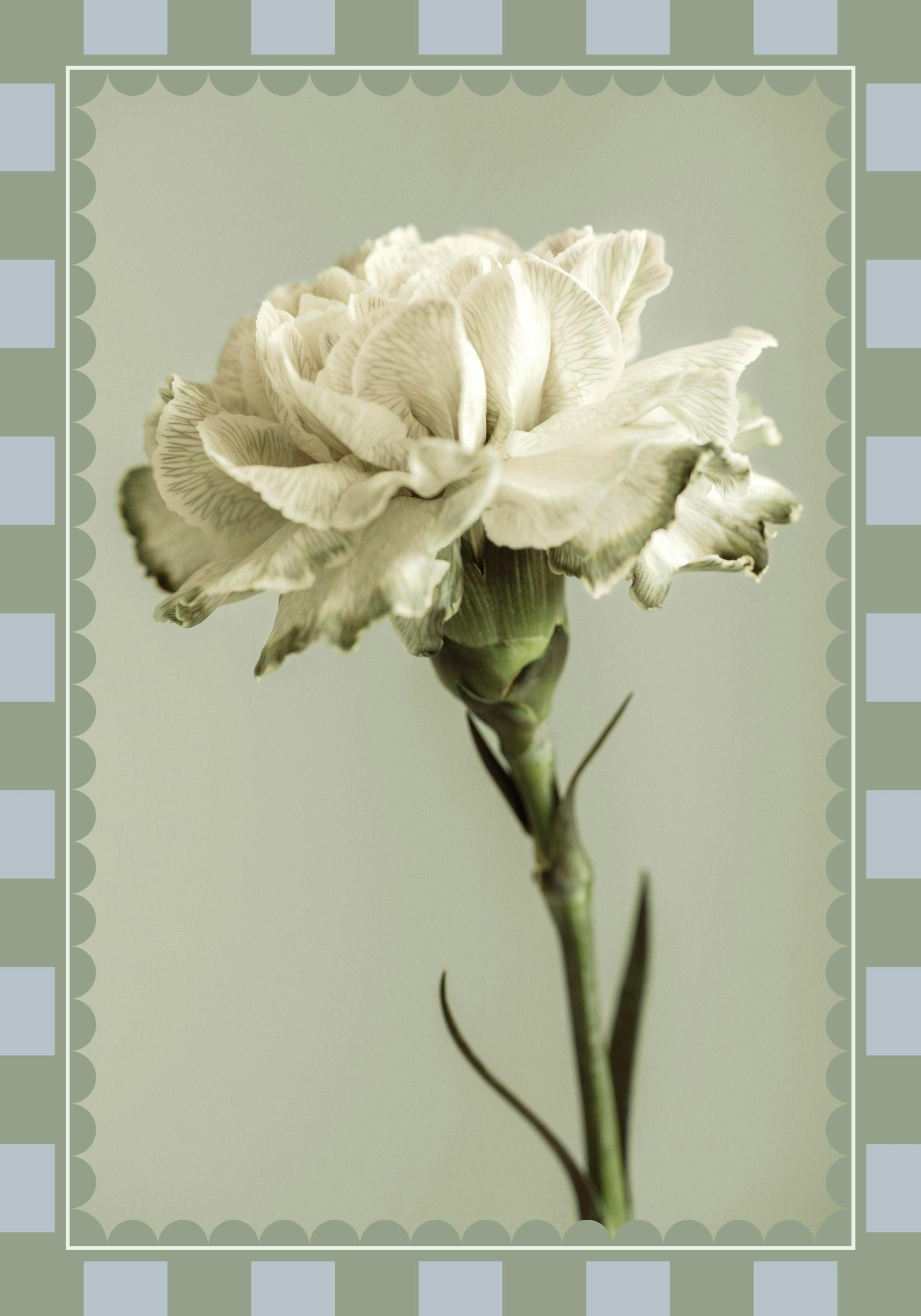 Product image: 1