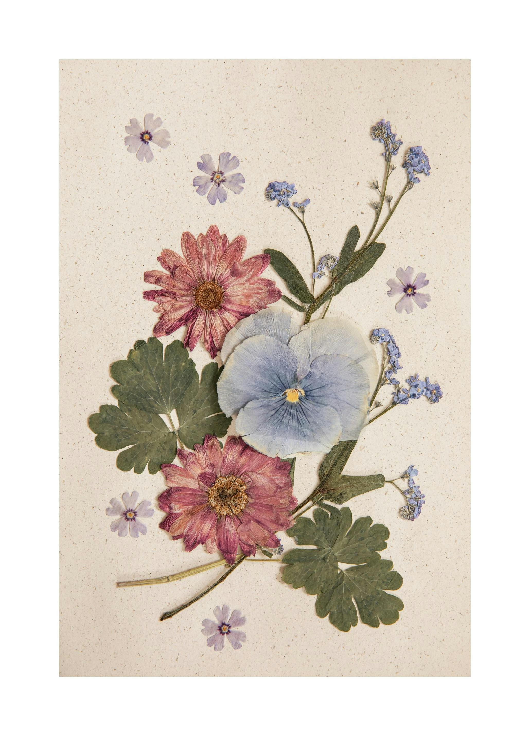 Pressed Blossom Poster (21x30 cm) -  Poster mit Blumenmotiven