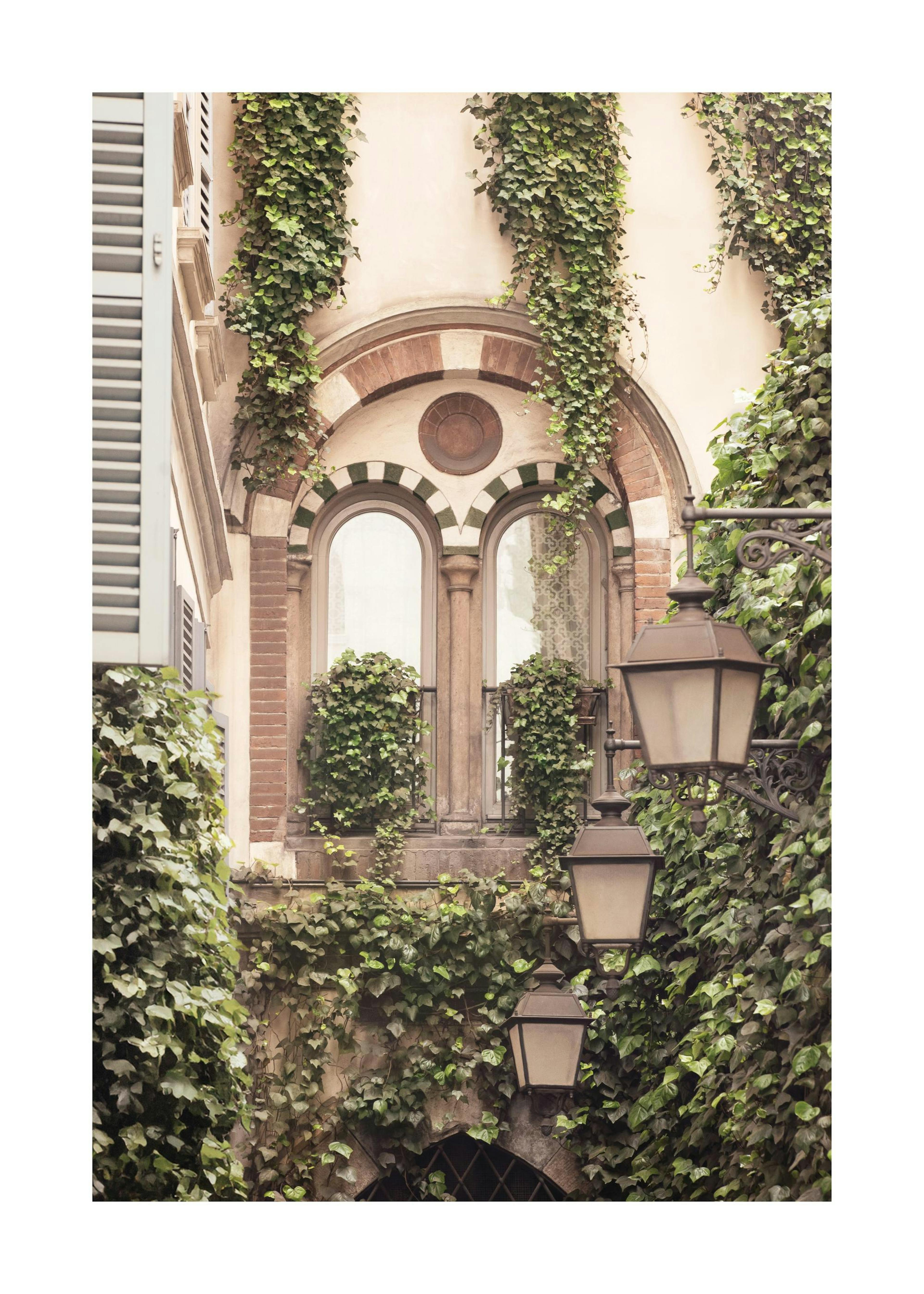 Ivy Architecture Print 0